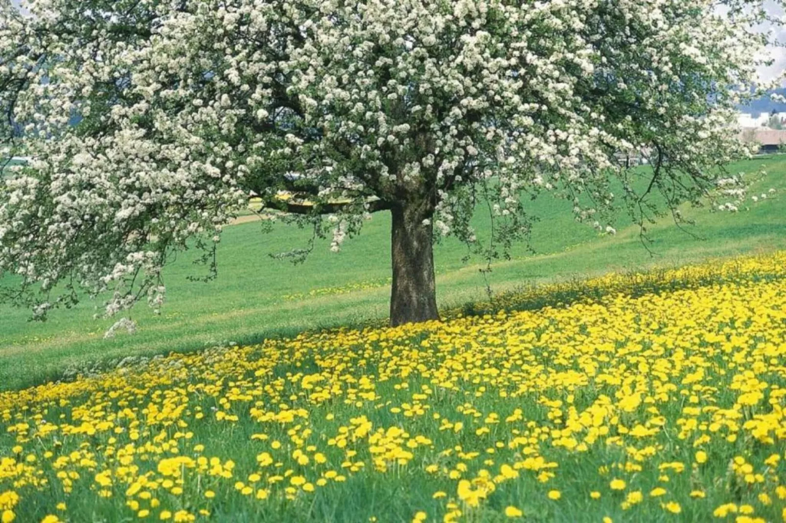 Vakantiepark Leukermeer 10-Gebieden zomer 20km