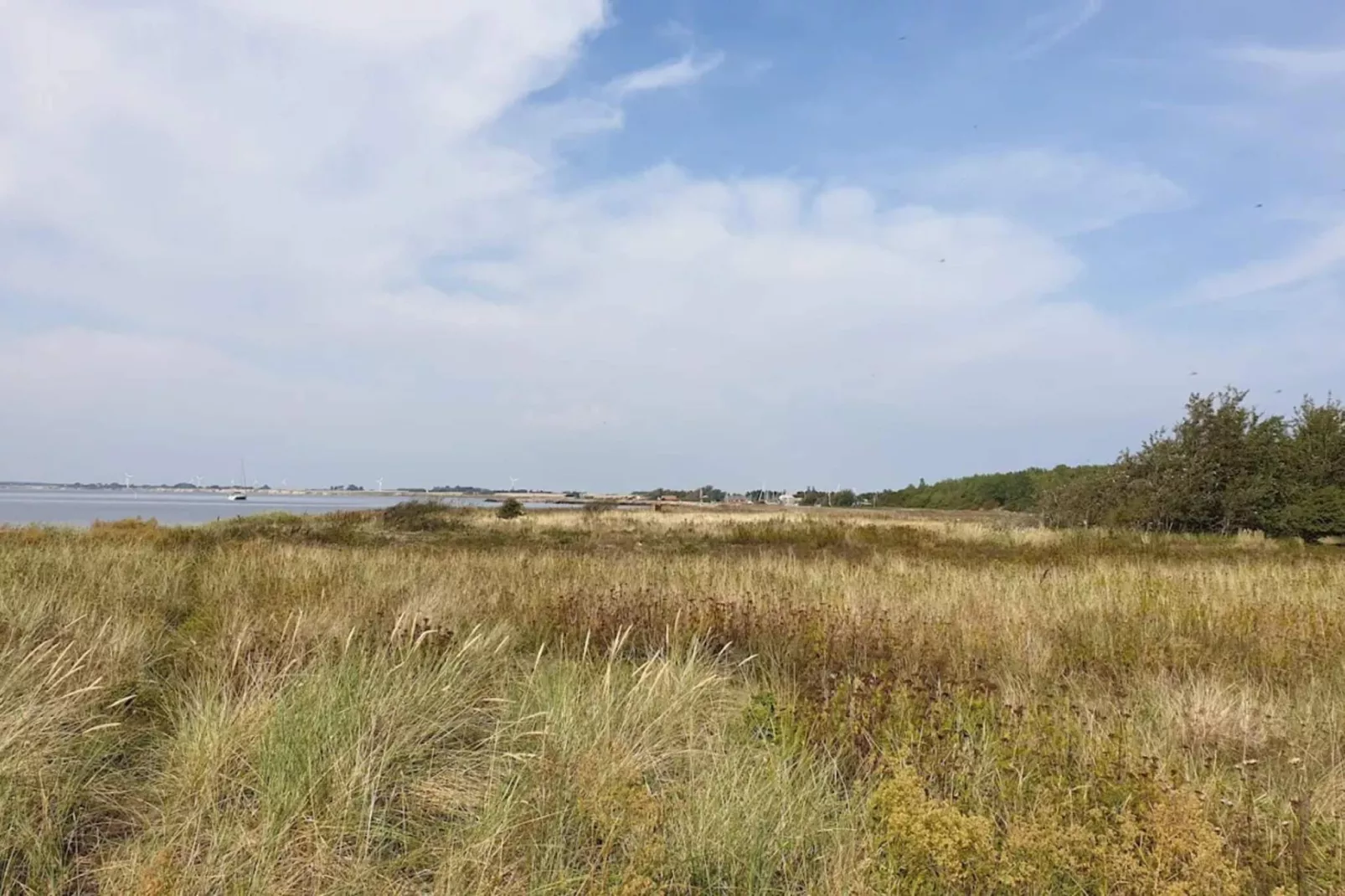 4 persoons vakantie huis in Gedser-By Traum-Niet-getagd