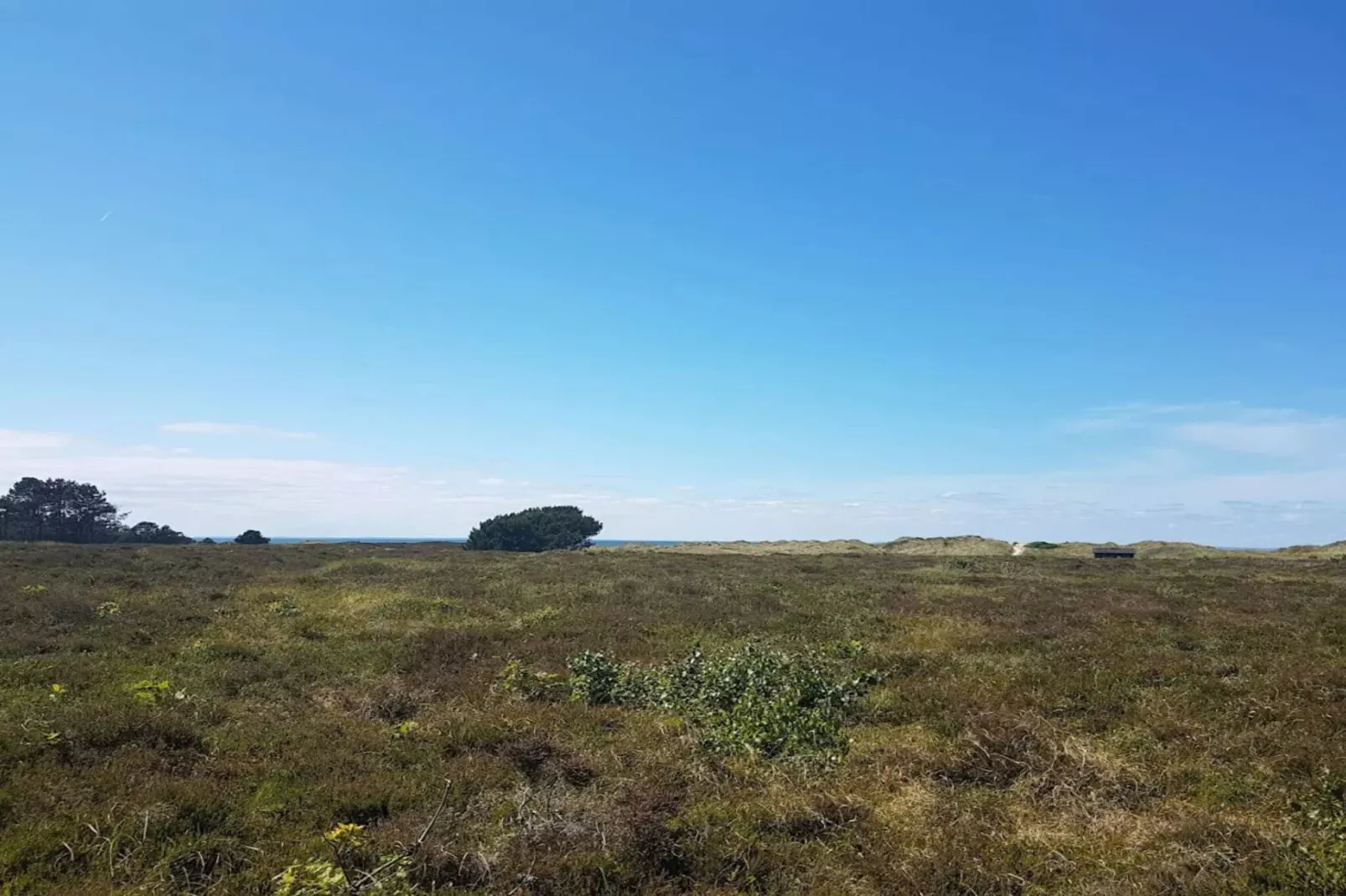 5 persoons vakantie huis in Læsø