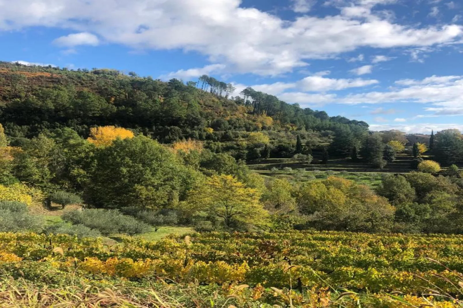 LA BOSCALIERE/ CHABROUD-Gebieden zomer 20km