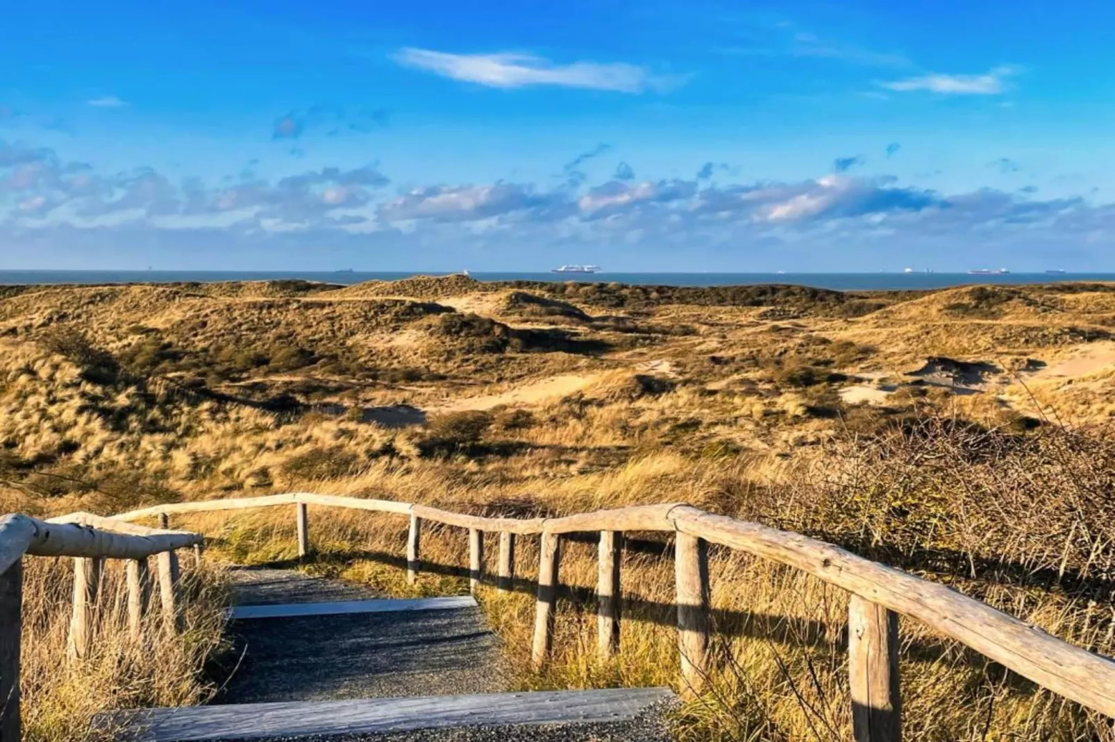 Elzendreef-Gebieden zomer 20km