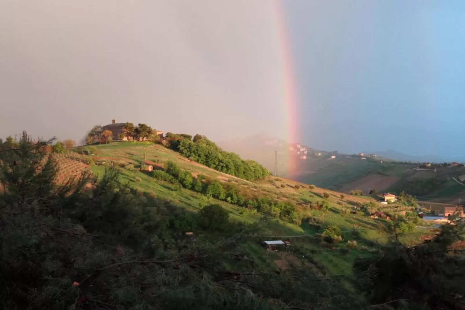 Ortica Studio-Gebieden zomer 5km