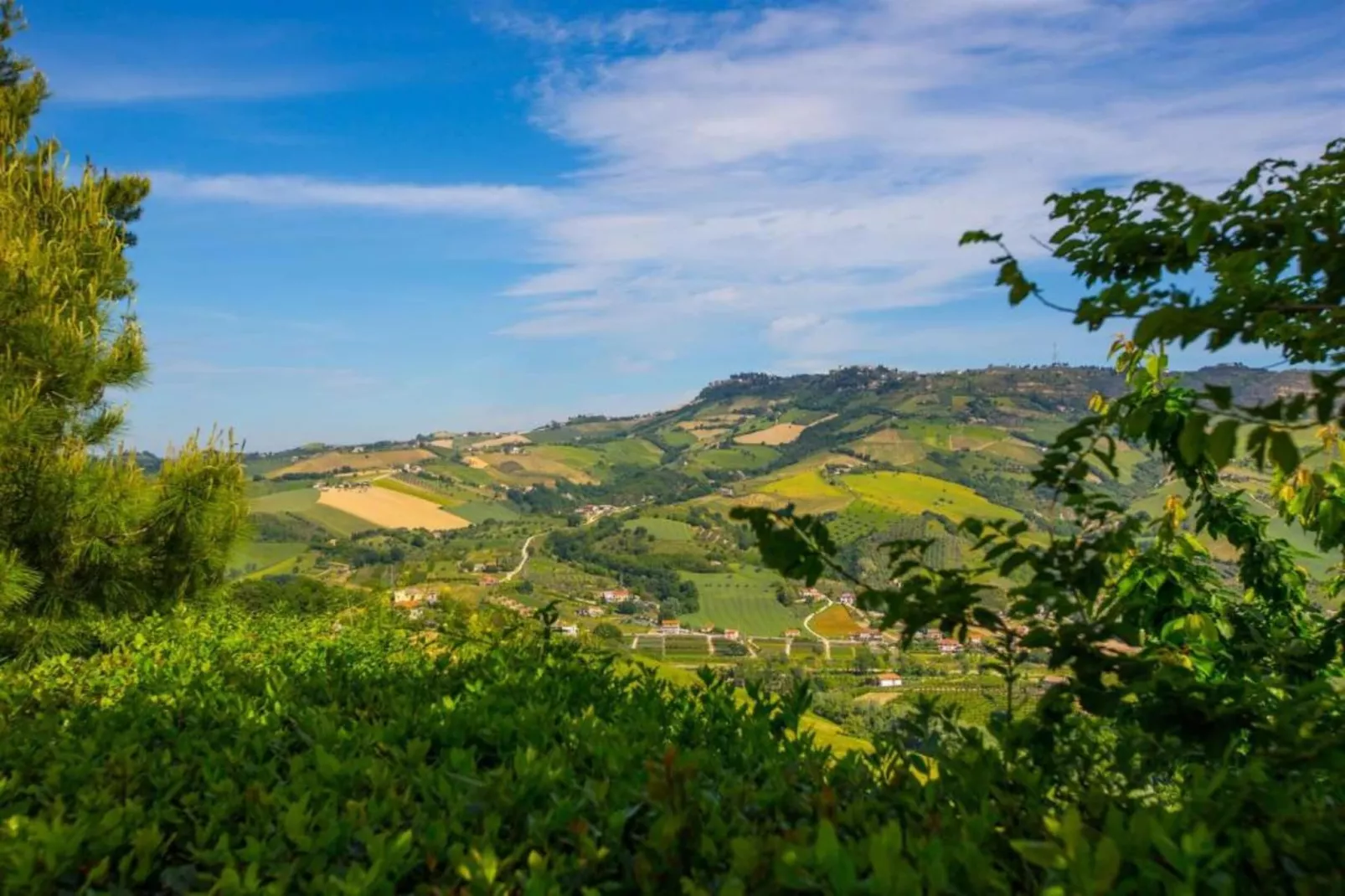 Lavanda-Gebieden zomer 5km