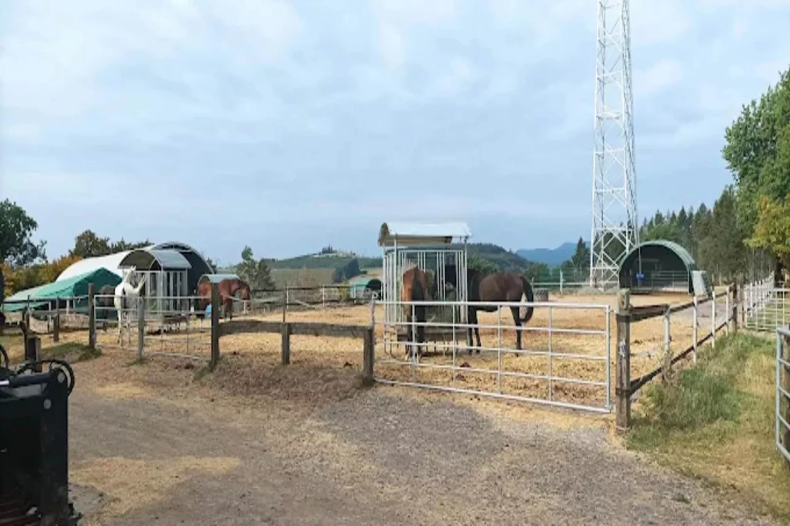 Landhaus Eppe-Gebieden zomer 5km