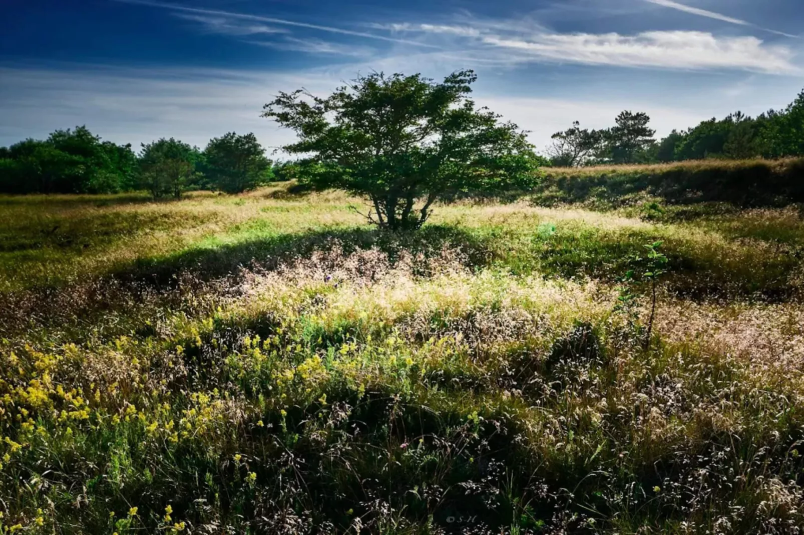 7 persoons vakantie huis in Hals-By Traum