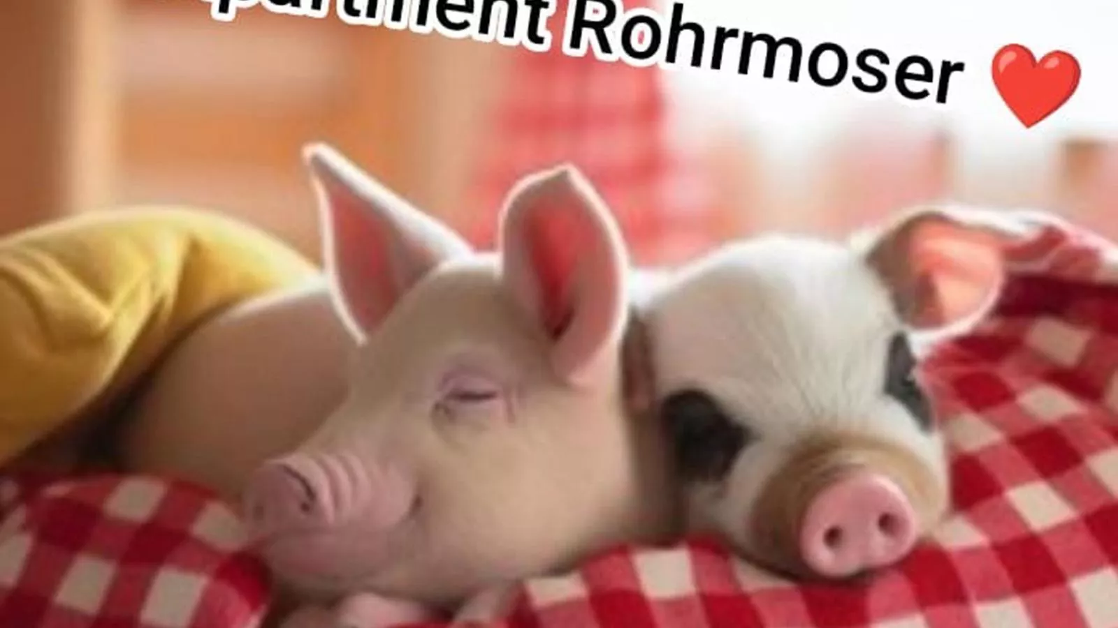 Apartment Rohrmoser-Sfeer
