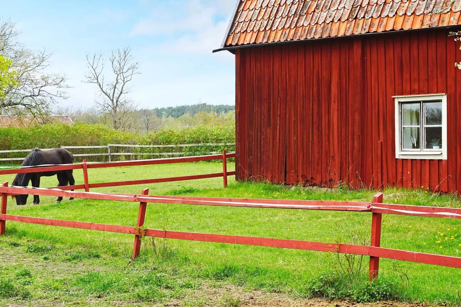 5 persoons vakantie huis in FLEN-By Traum