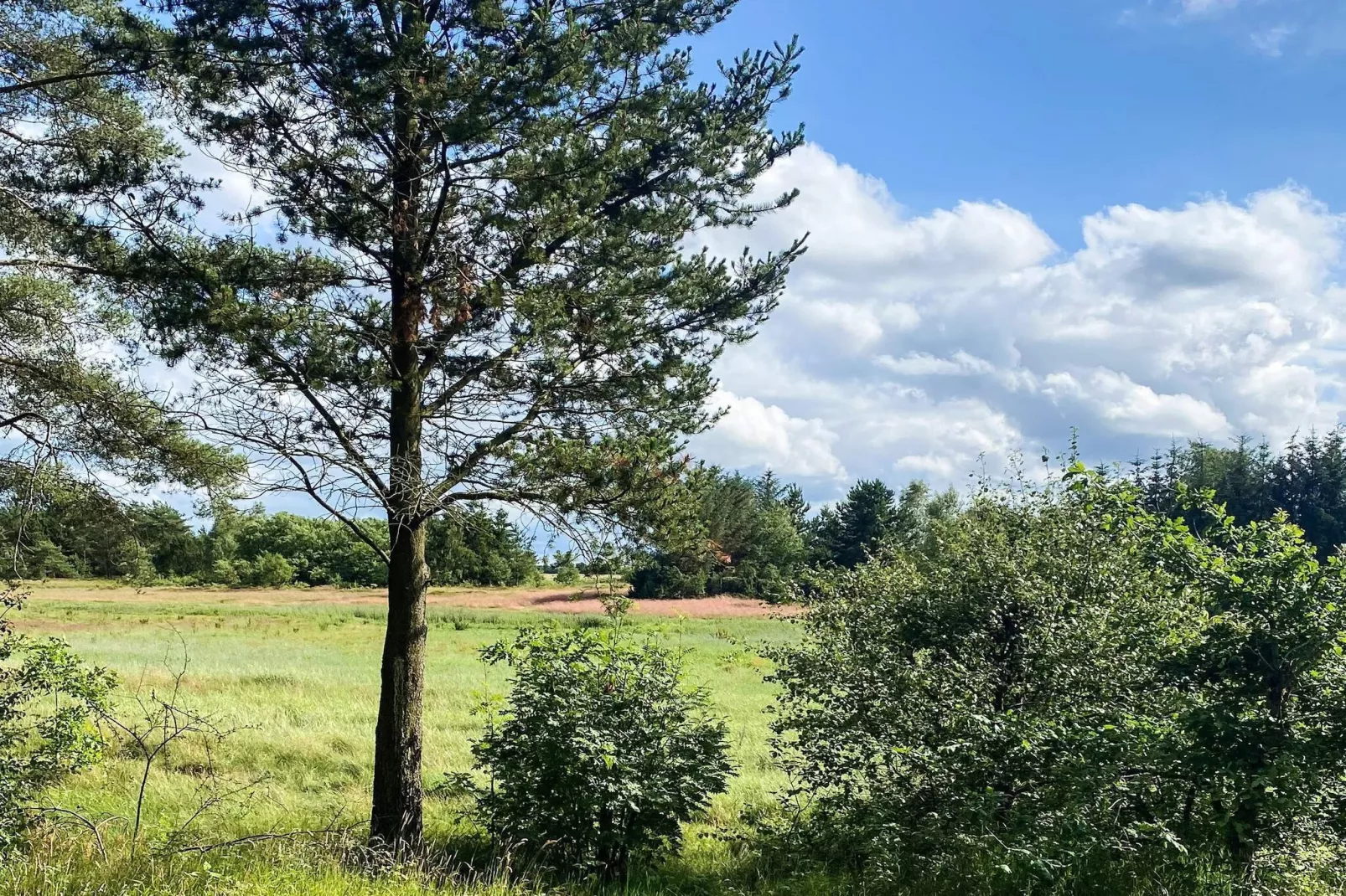 6 persoons vakantie huis in Bording-By Traum-Niet-getagd