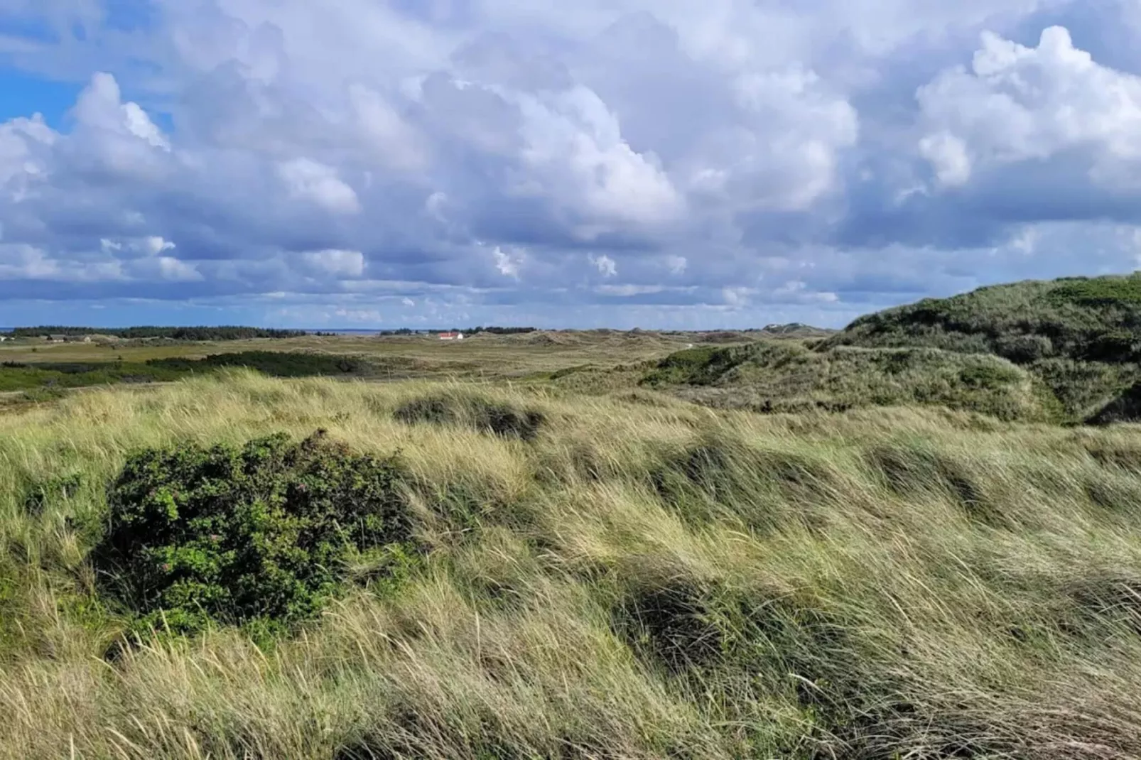 6 persoons vakantie huis in Hvide Sande-By Traum