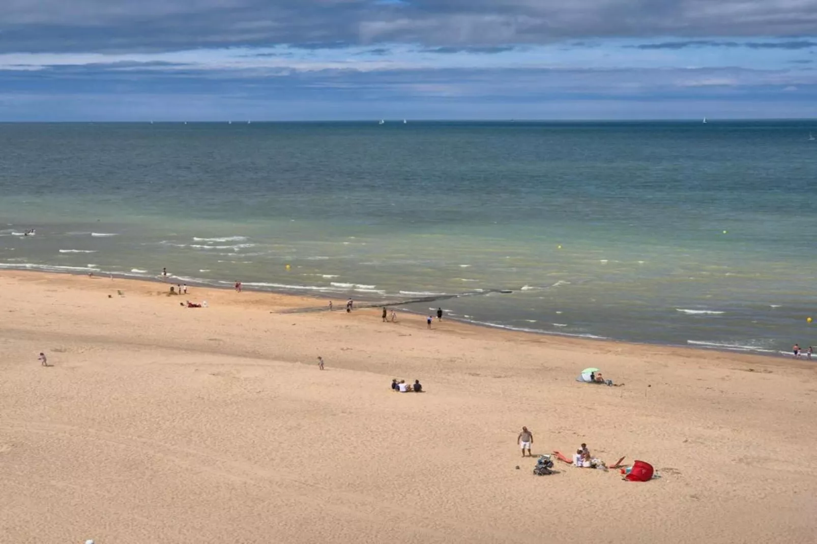 Campanula gv03g-Gebieden zomer 1km