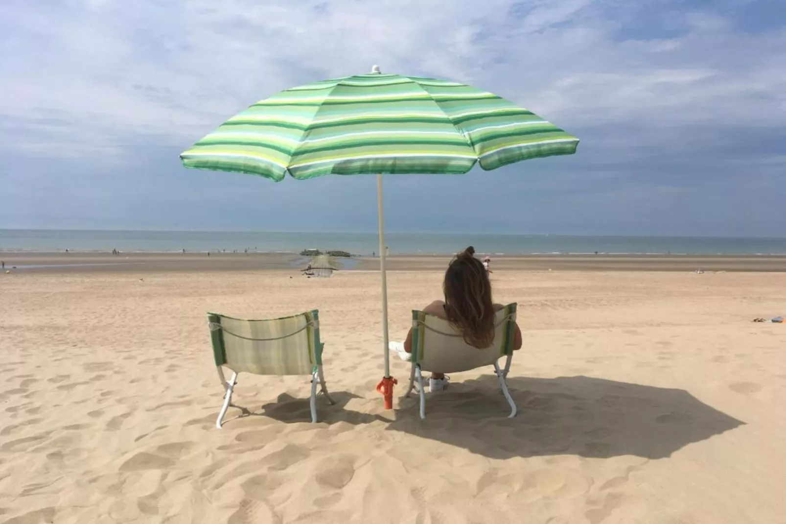 Les petrels 202 g-Gebieden zomer 1km