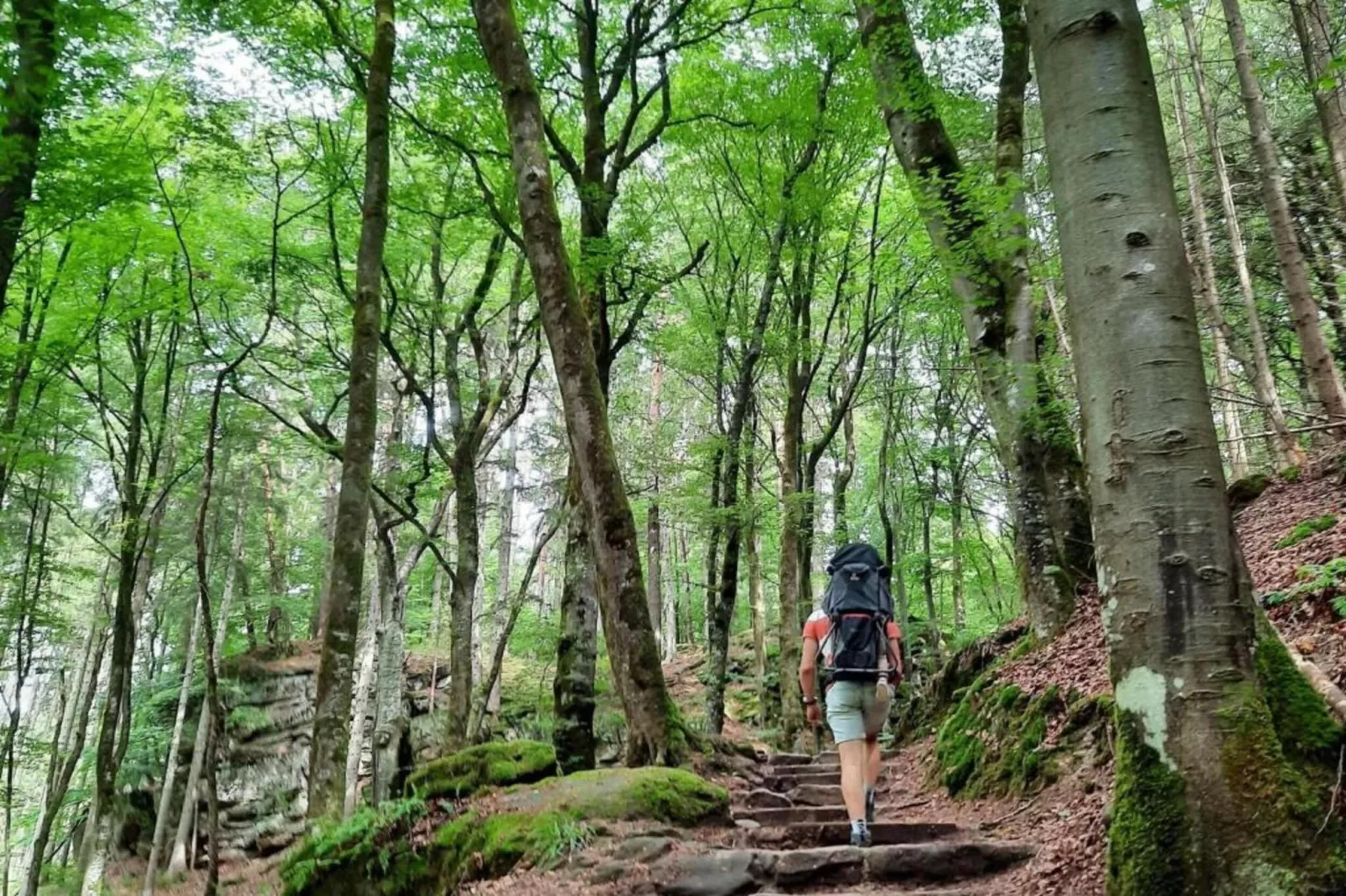 Camping Nommerlayen 1-Gebieden zomer 20km