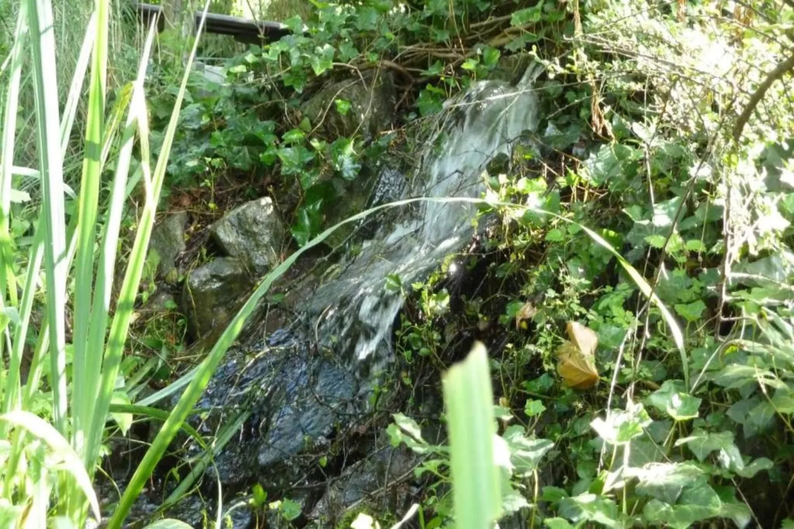 Verblijfpark Breebos 4-Gebieden zomer 20km