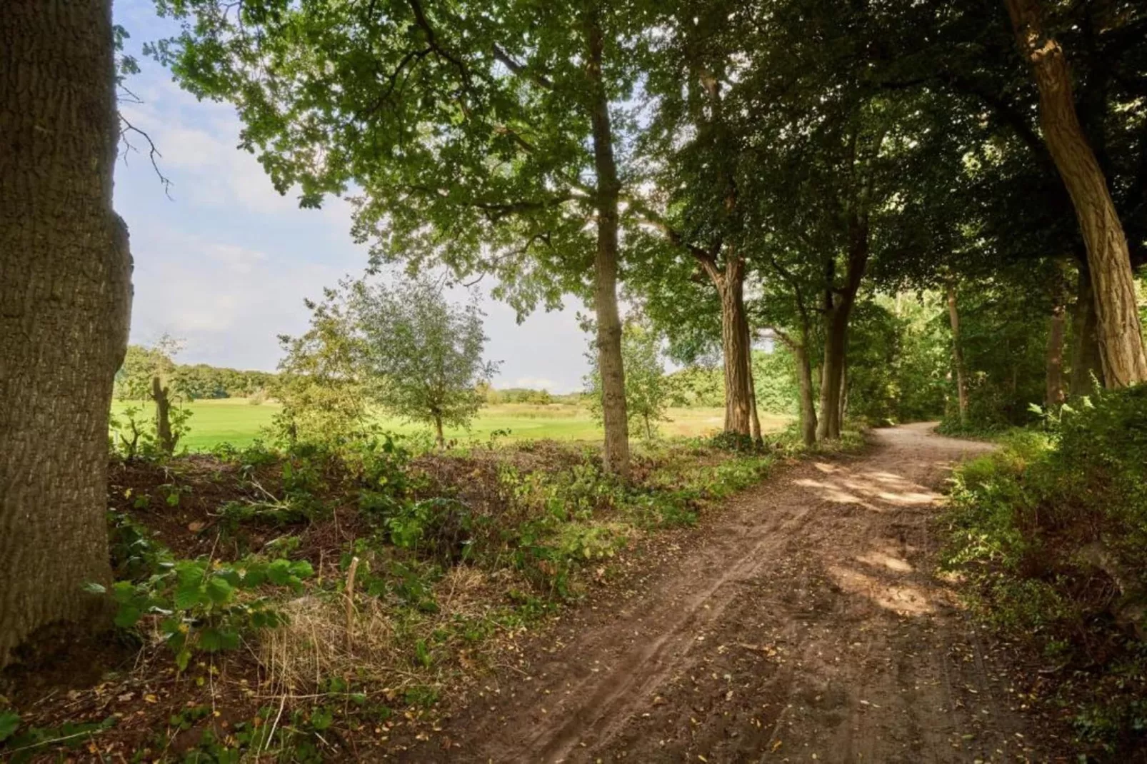 Vakantiepark de Katjeskelder 24-Gebieden zomer 5km