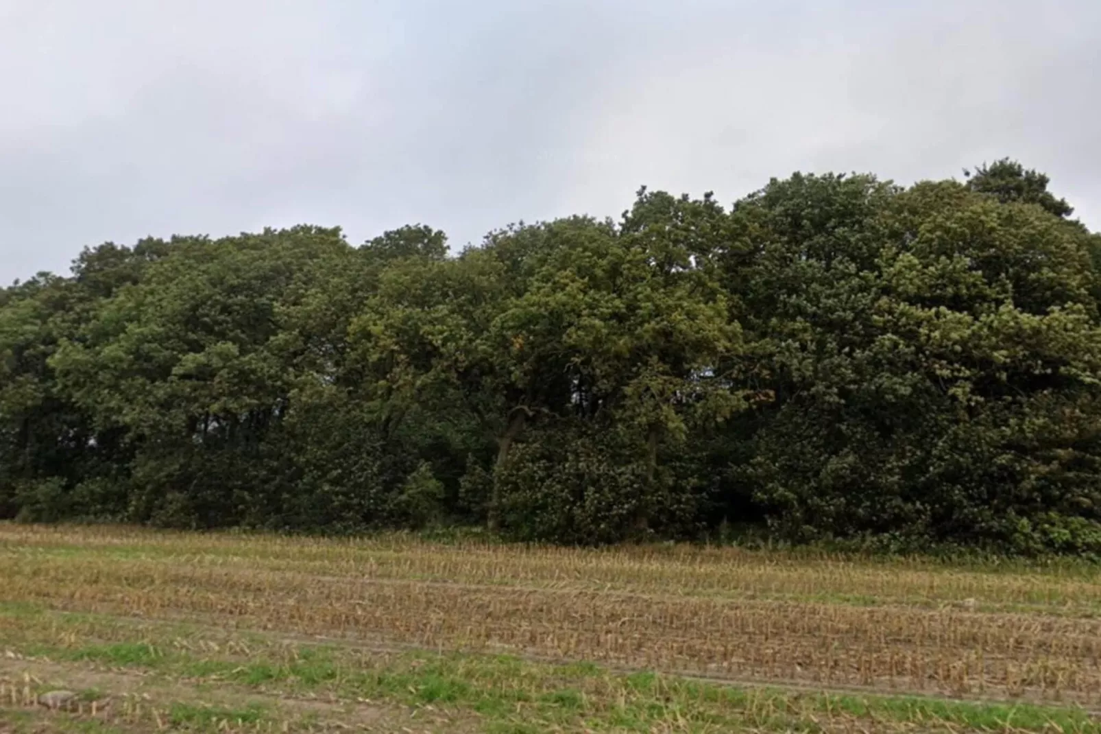 5 sterren vakantie huis in Hovborg-By Traum