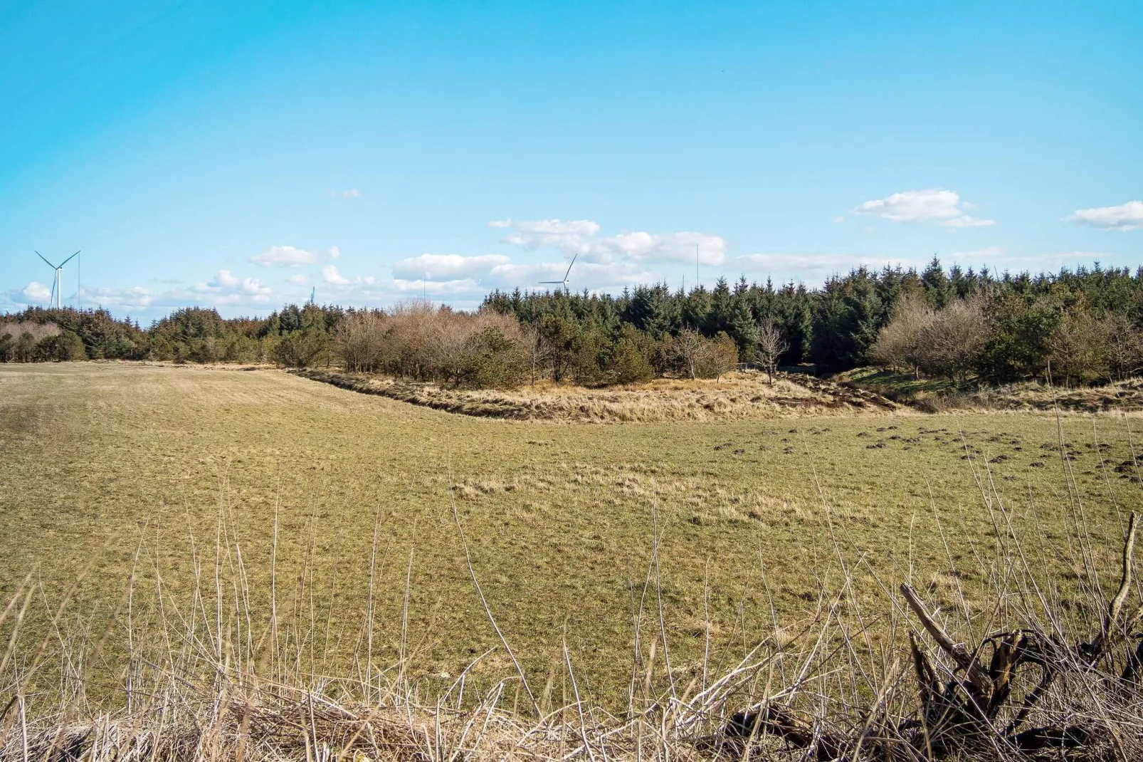 12 persoons vakantie huis in Thisted-By Traum-Buitenlucht