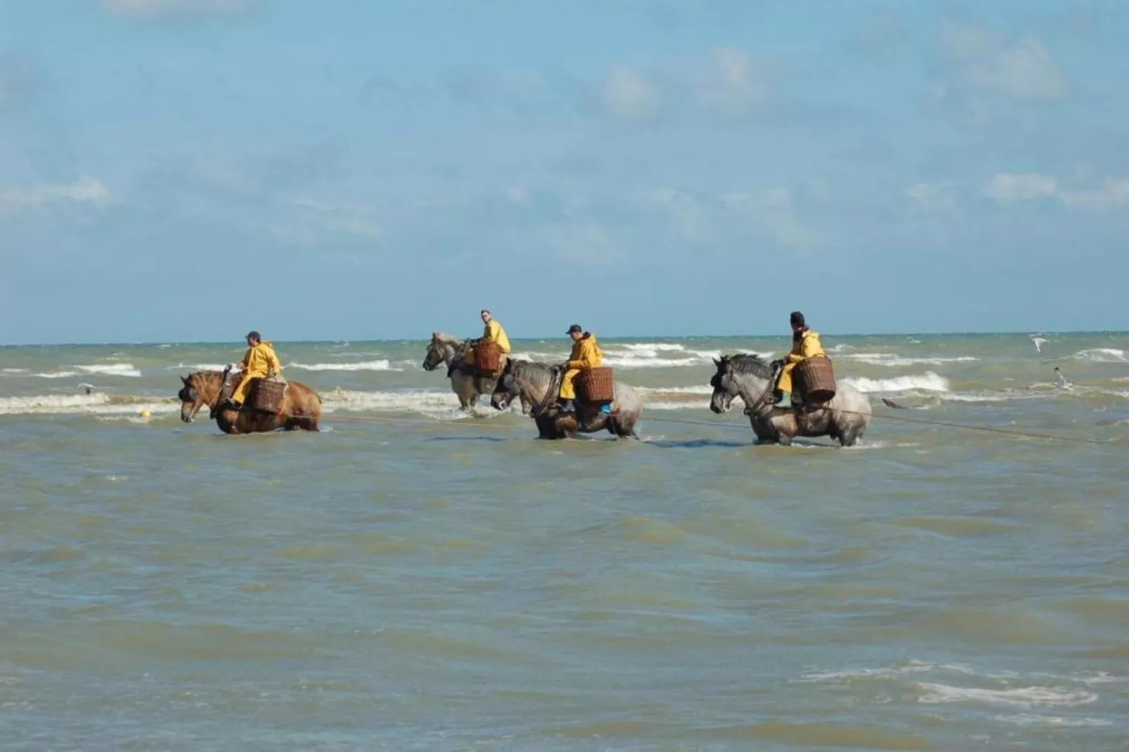 Villa Morgenlicht-Gebieden zomer 1km