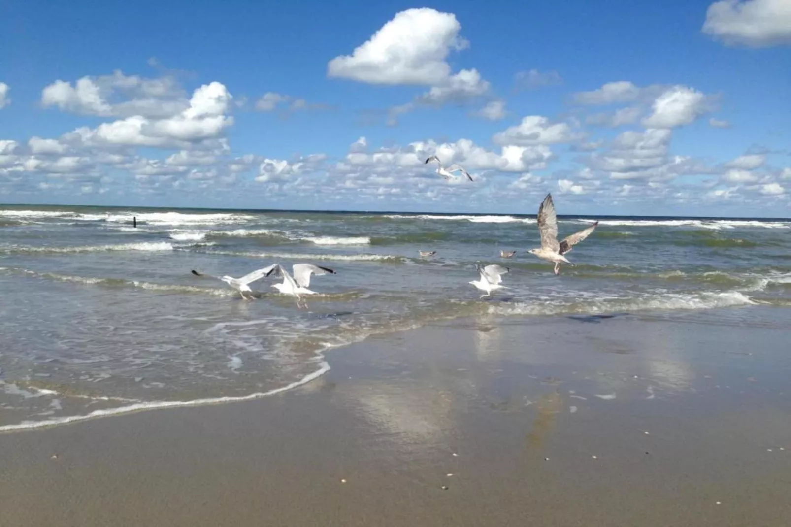 Strandpark Vlugtenburg 5-Gebieden zomer 20km