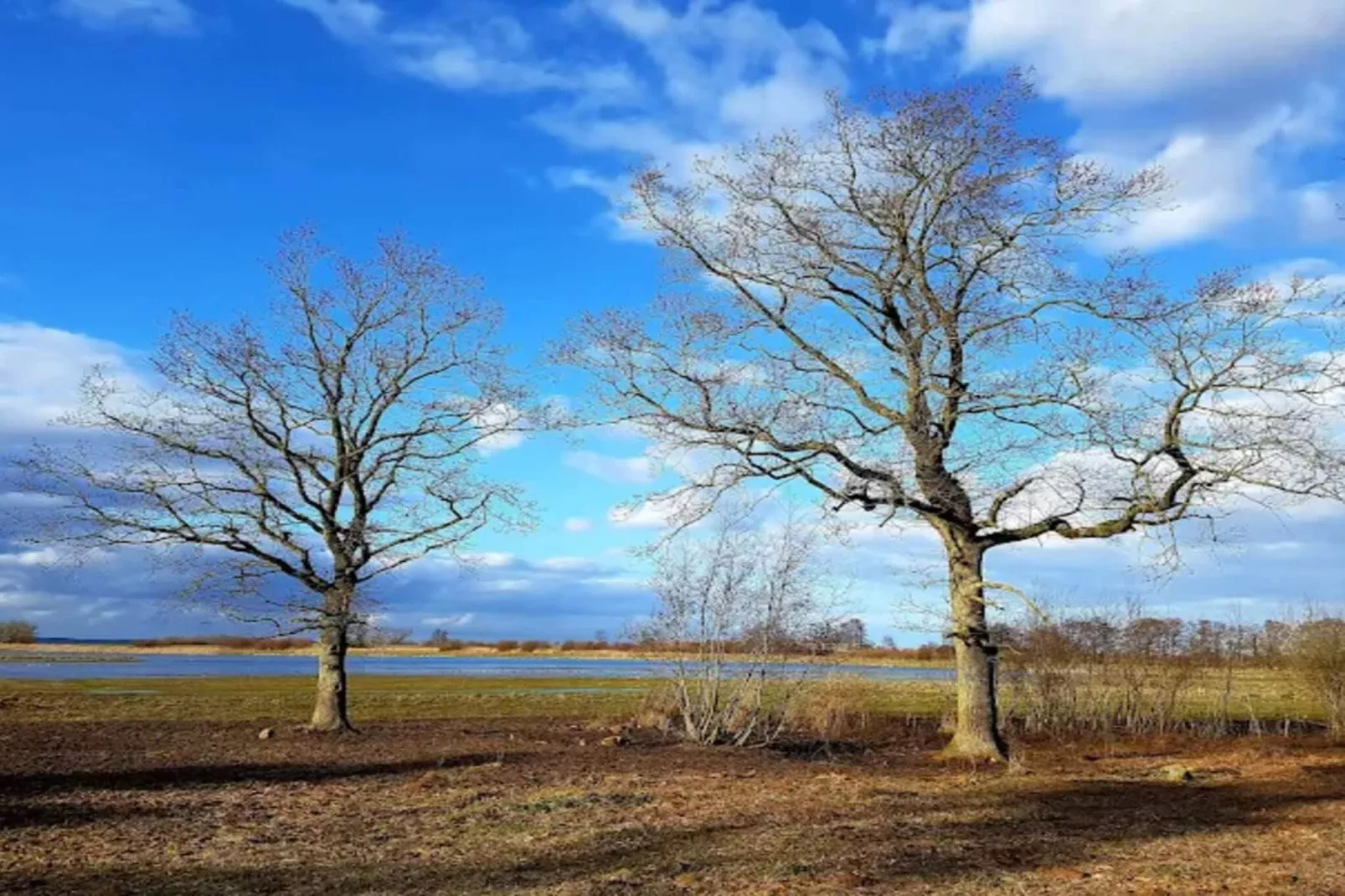 6 persoons vakantie huis in Bogense-By Traum-Niet-getagd