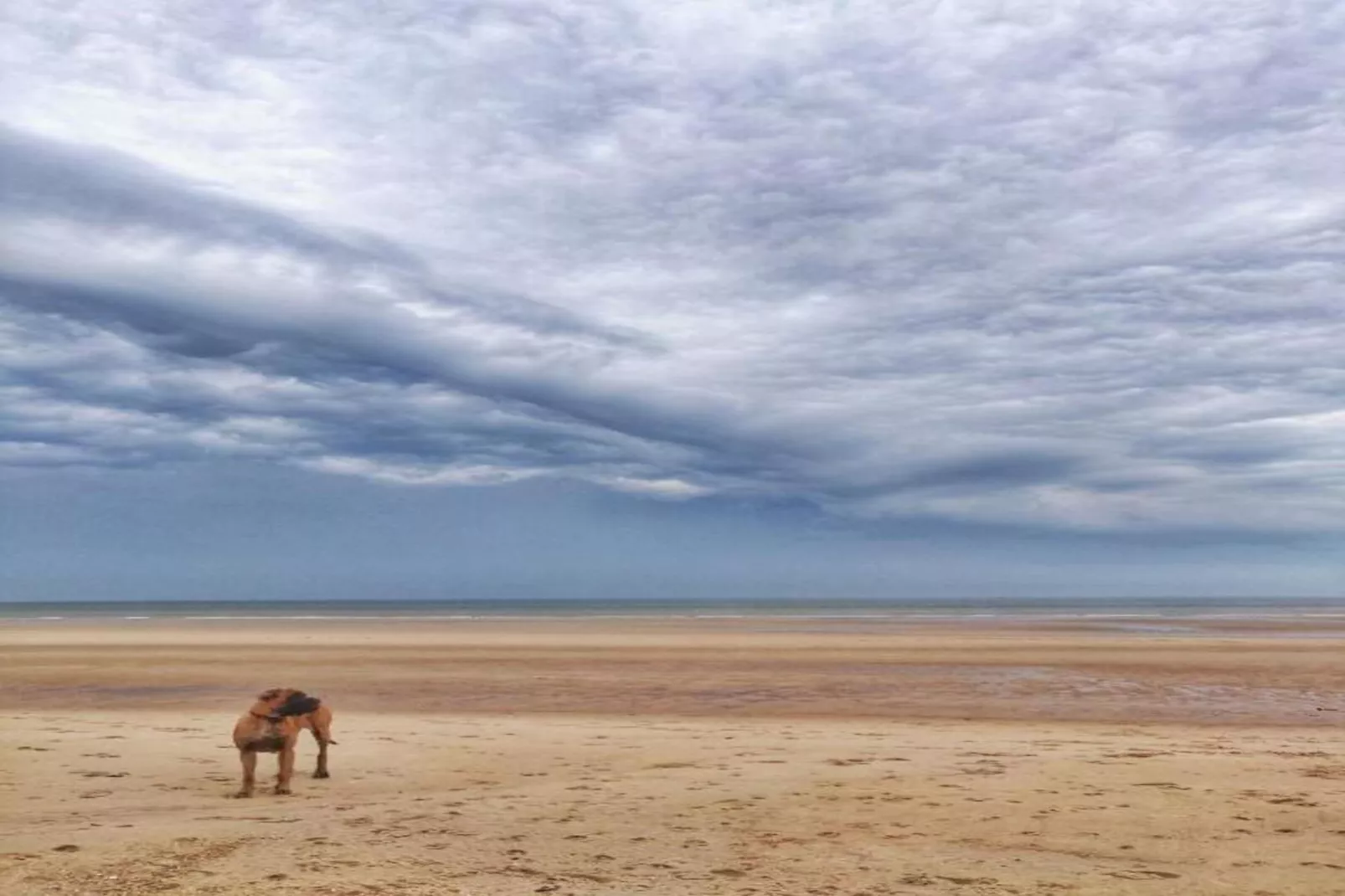 Rosalie 0202-Gebieden zomer 20km