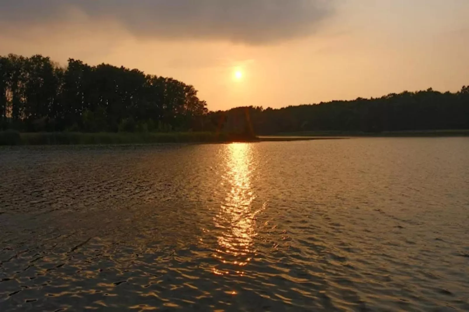 Wildgans Classic 246