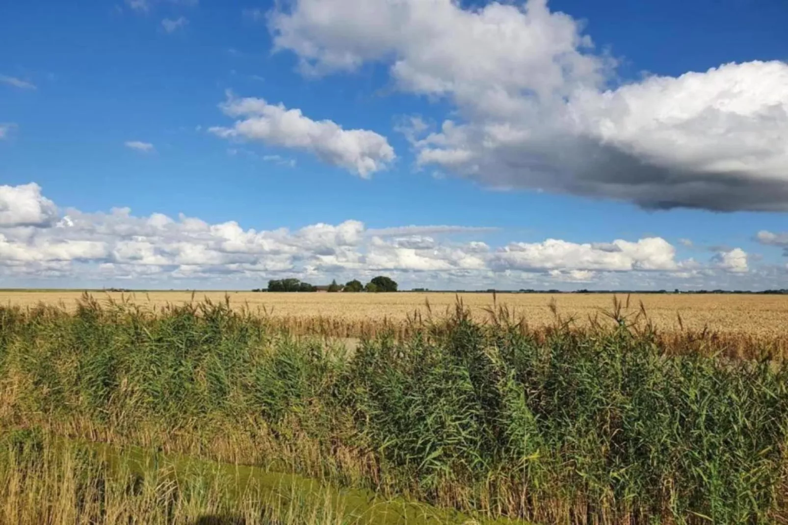 Standaard 224 - Gebieden zomer 20km