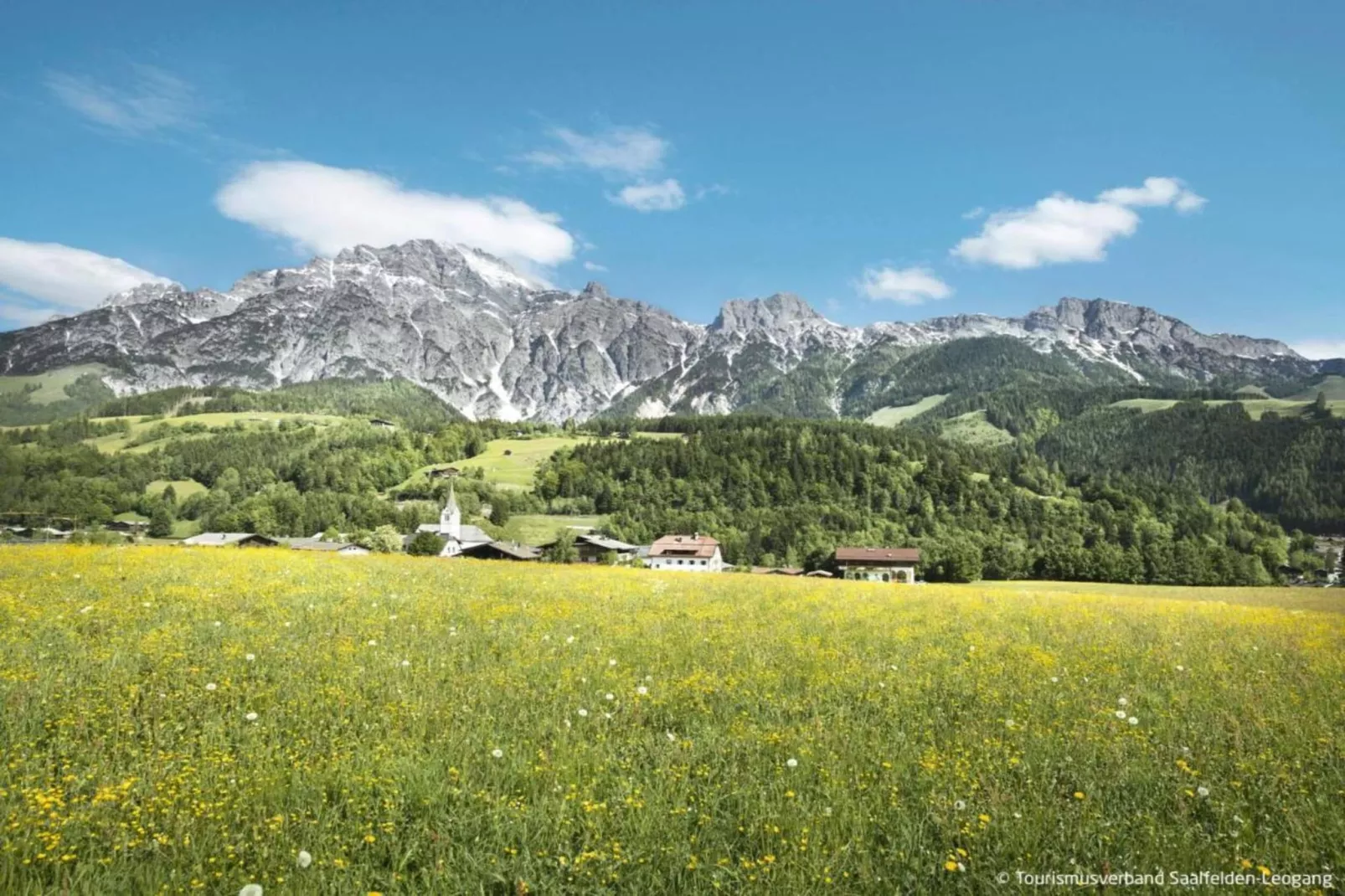 Appartement "Schnauz-Bartl" 3-4-Gebieden zomer 20km