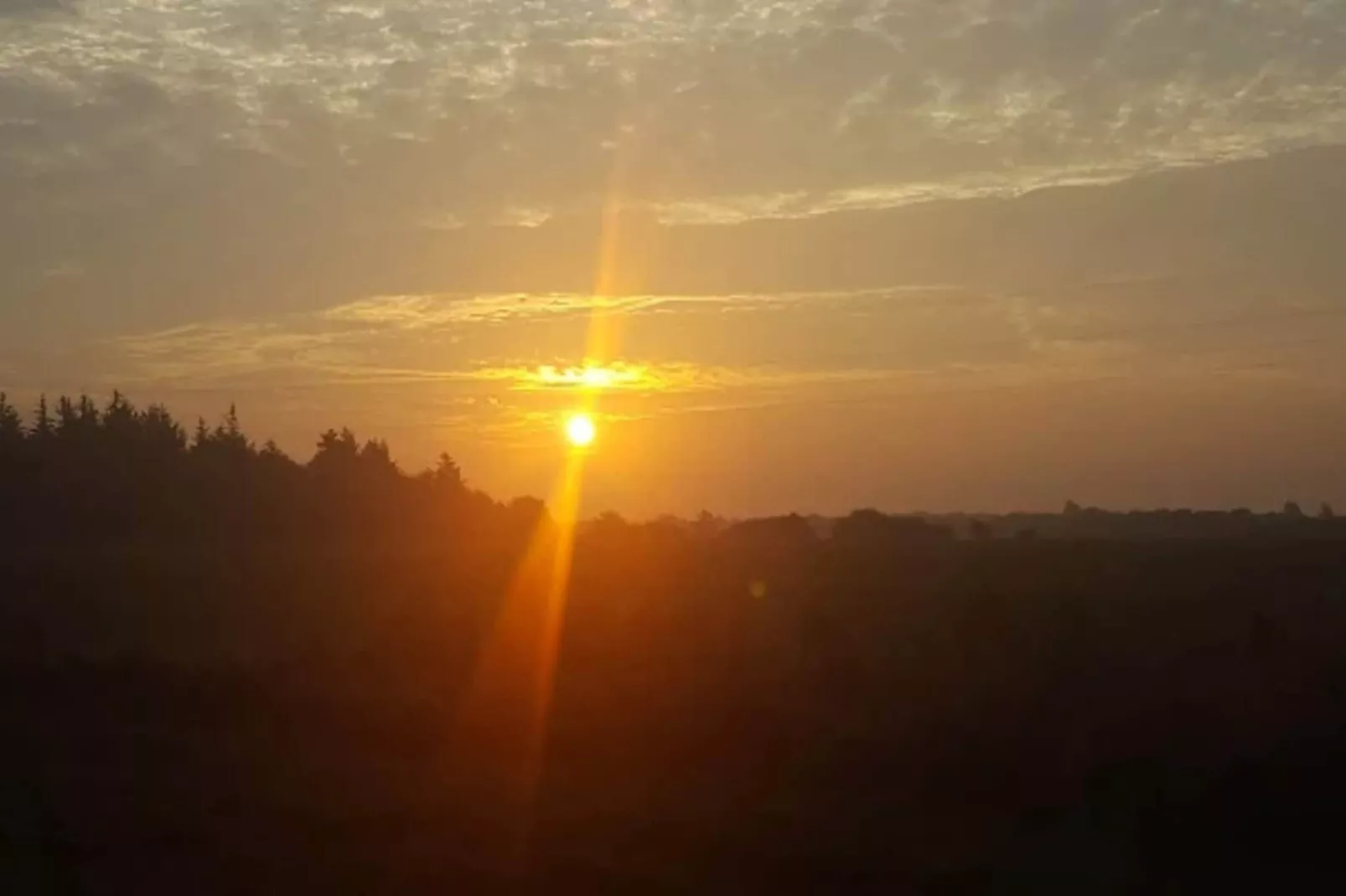 4 persoons vakantie huis in Oksbøl-By Traum