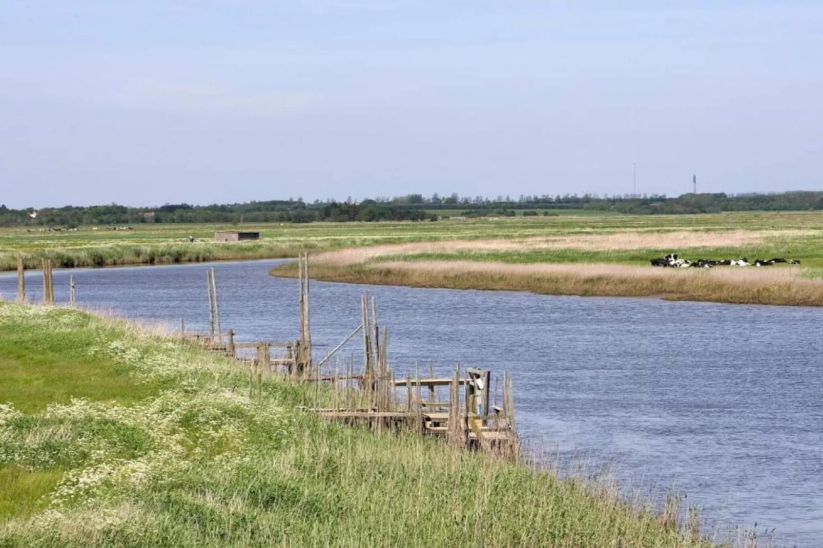 6 Personen vakantie huis in Ringkøbing-Waterzicht