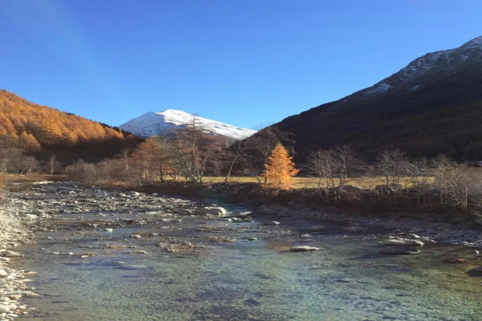 Haus Alpenstern Wohnung Trift-Gebieden zomer 20km