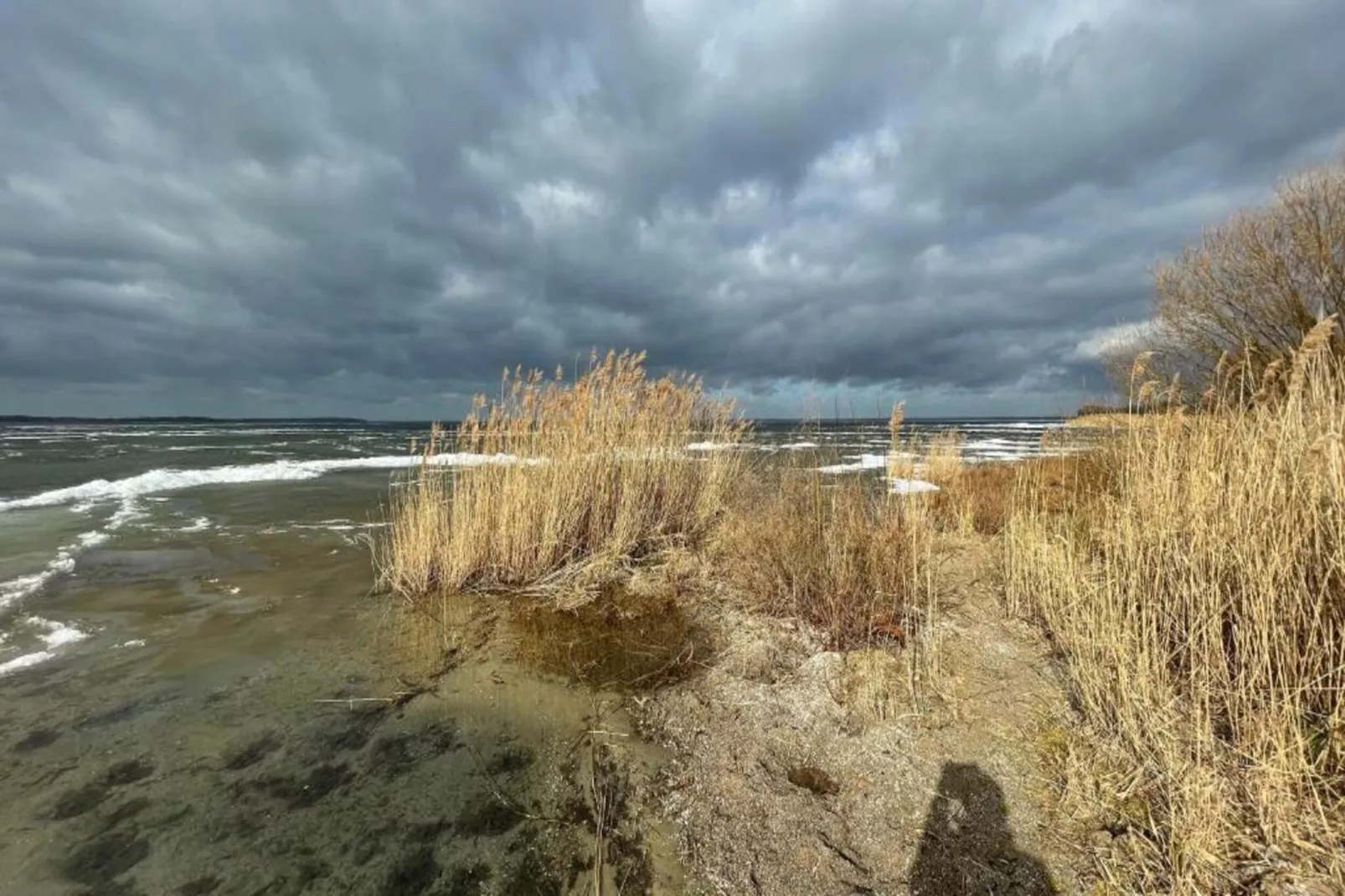 Ferienhaus Seeschwalbe-78-Gebieden zomer 1km
