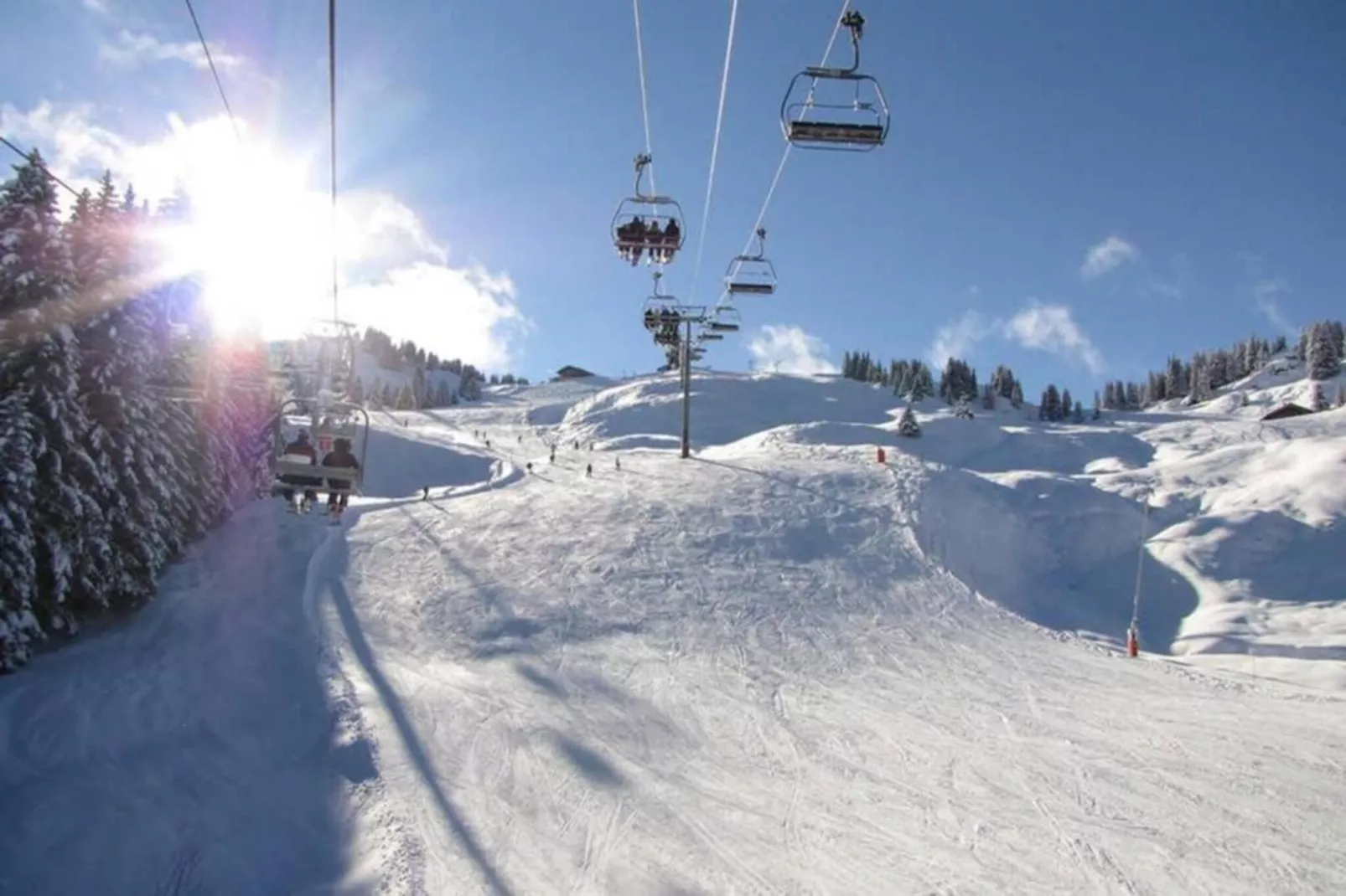 Grande Neige N°33 - 2P5-Gebied winter 1km