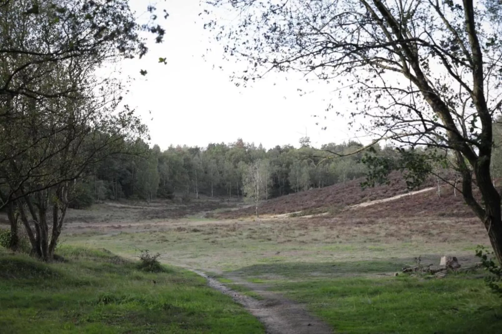 Vlindervallei Villa 8p-Gebieden zomer 5km