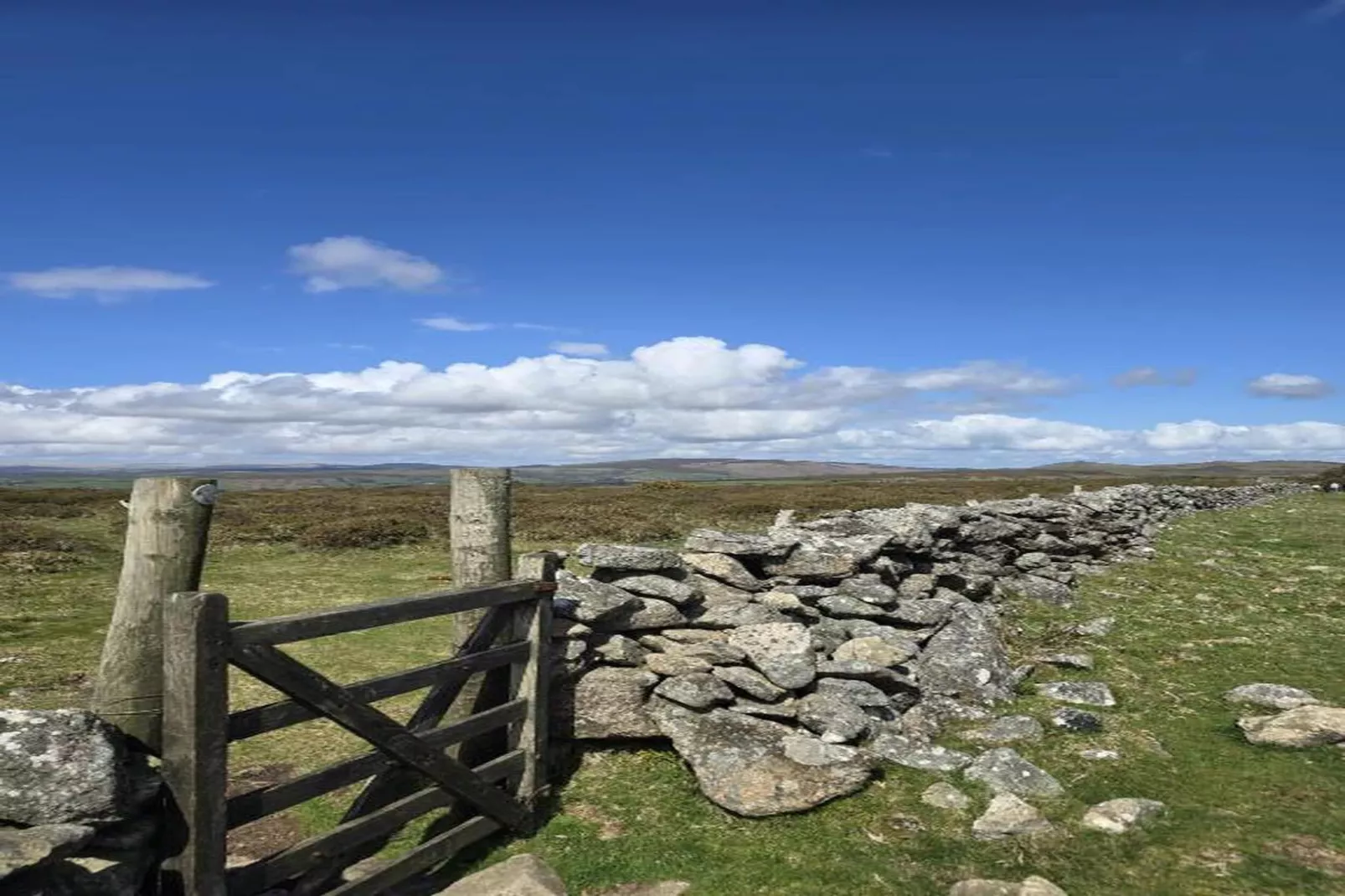 Little Dunley - Hazel-Gebieden zomer 20km