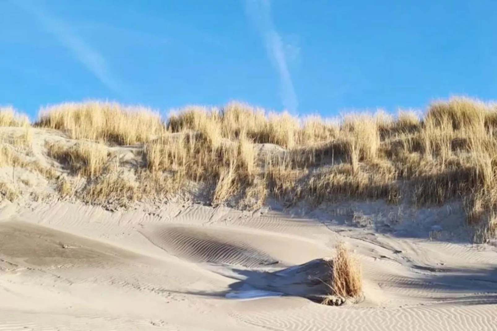 Strandpark Vlugtenburg 15-Gebieden zomer 20km