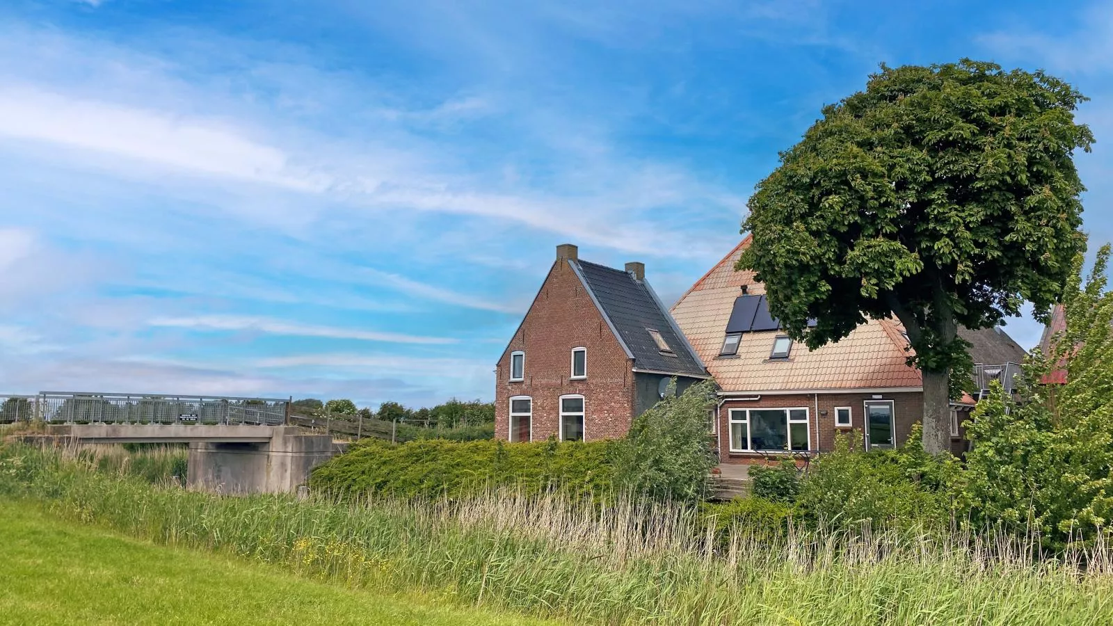 Groep in Friesland-Buitenkant zomer