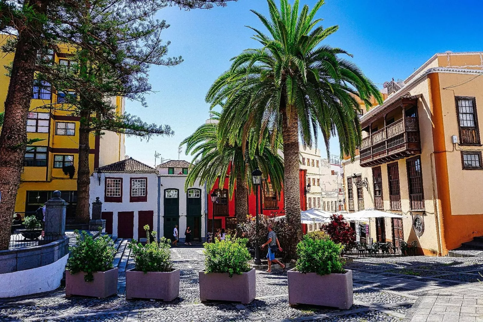 Bonita La Palma