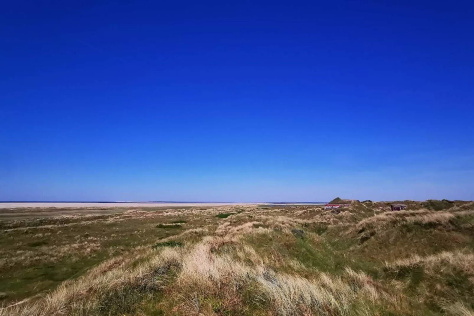 Kustcharme in Rindby-By Traum