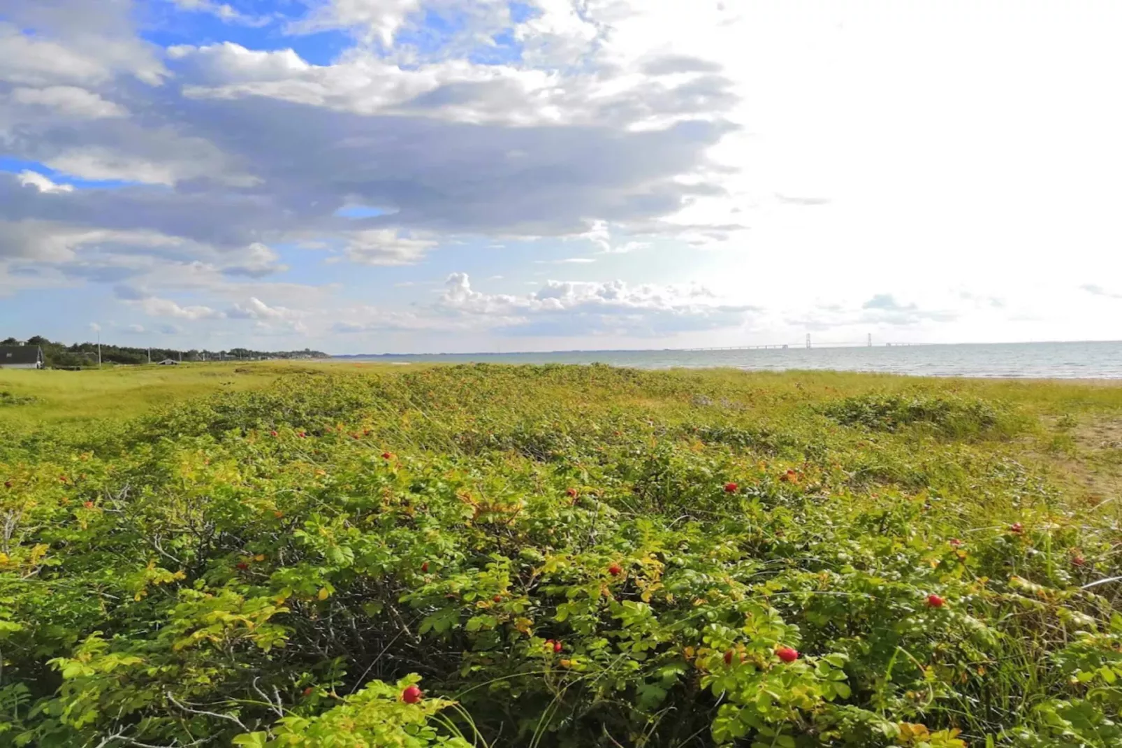 6 persoons vakantie huis in Slagelse-Niet-getagd