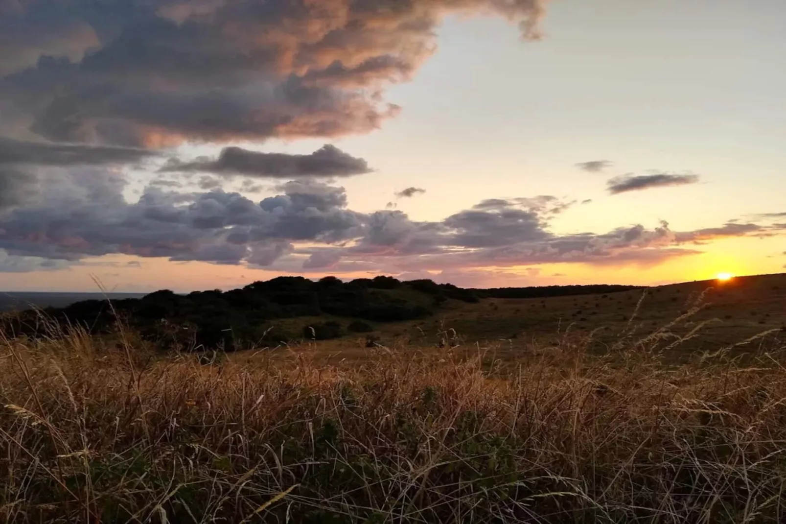 7 persoons vakantie huis in Kalundborg-Niet-getagd