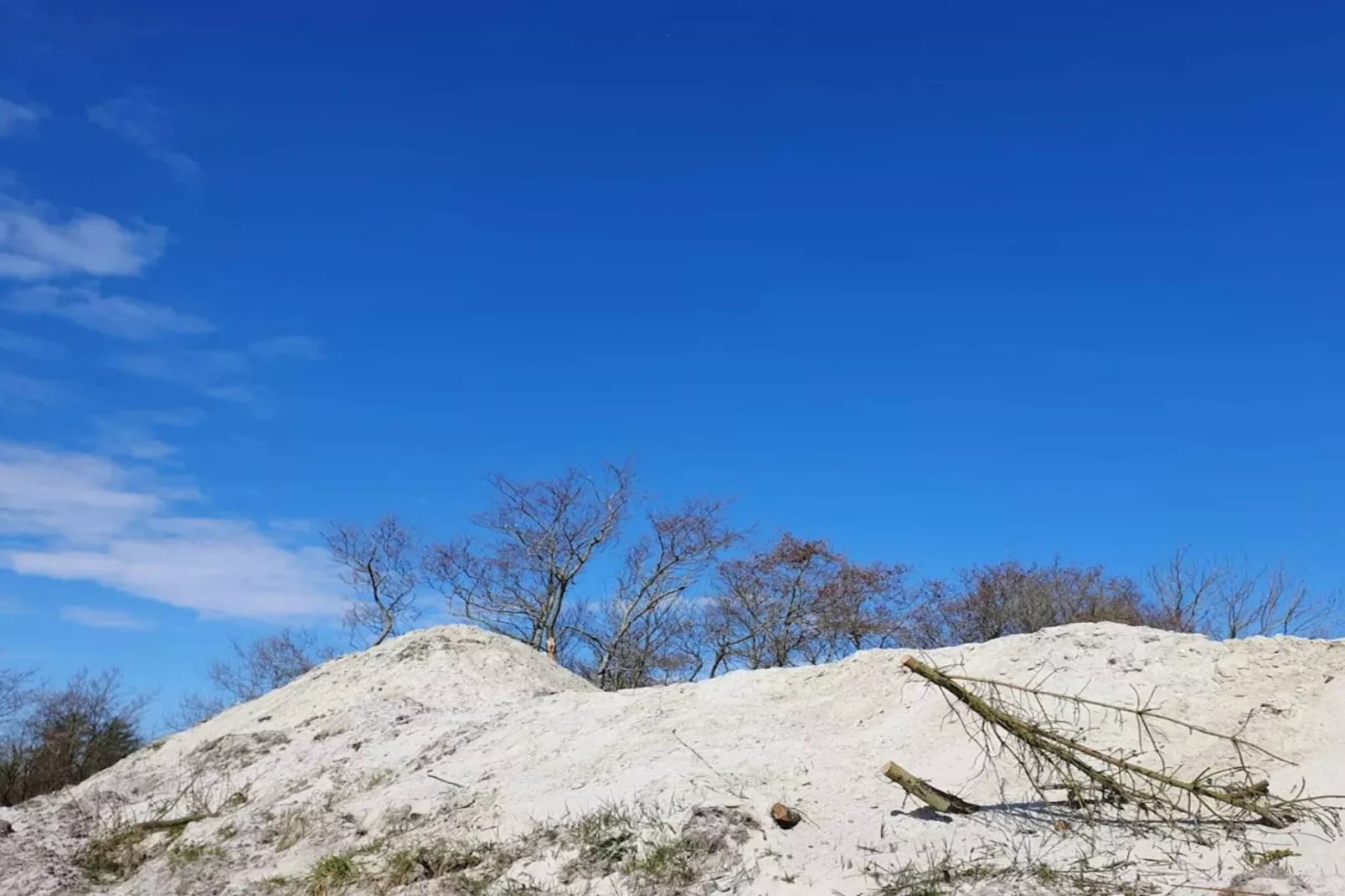 Rustiek toevluchtsoord bij Hemmet Strand-By Traum-Niet-getagd