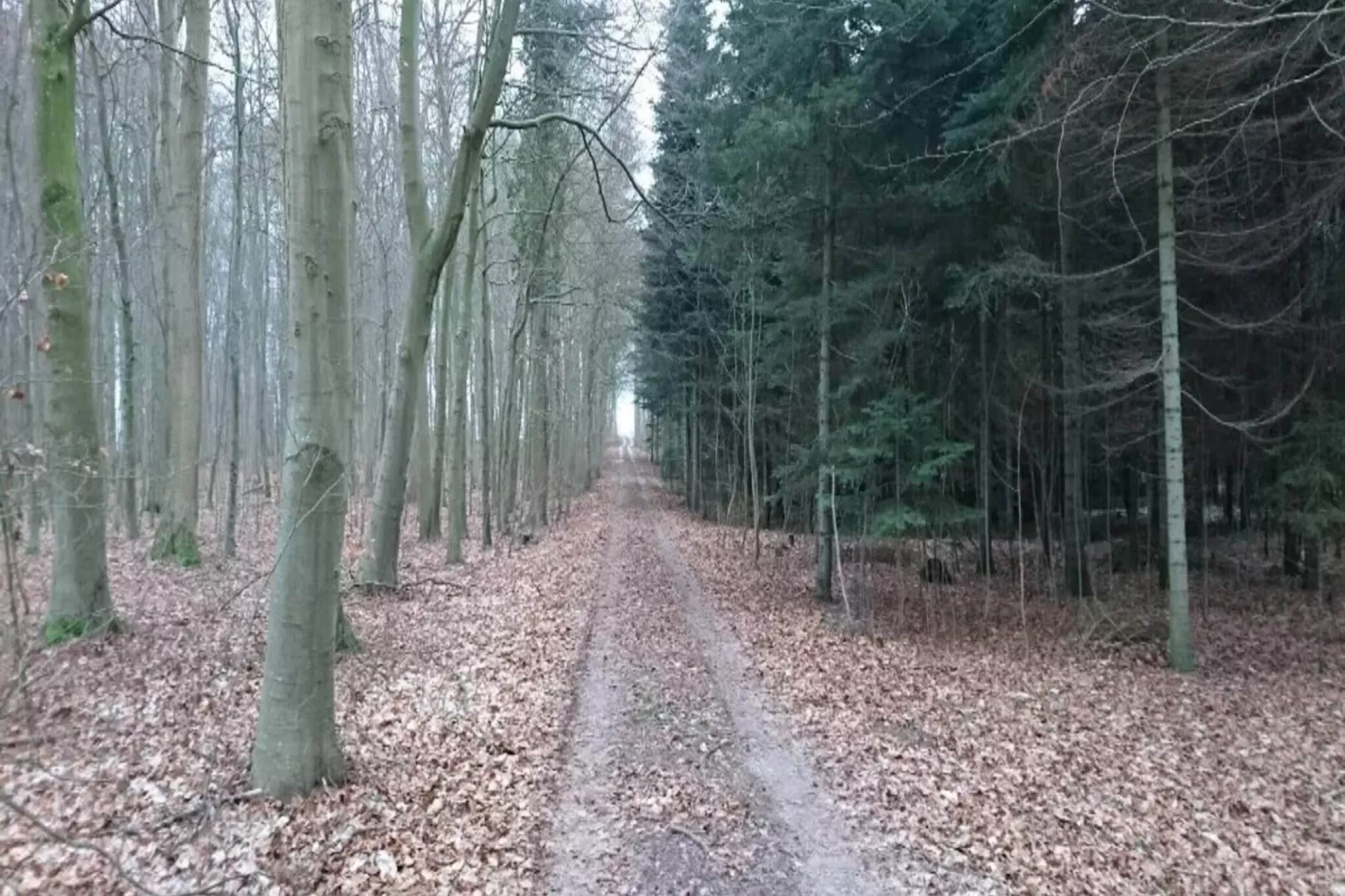 4 persoons vakantie huis in Væggerløse-Buitenlucht