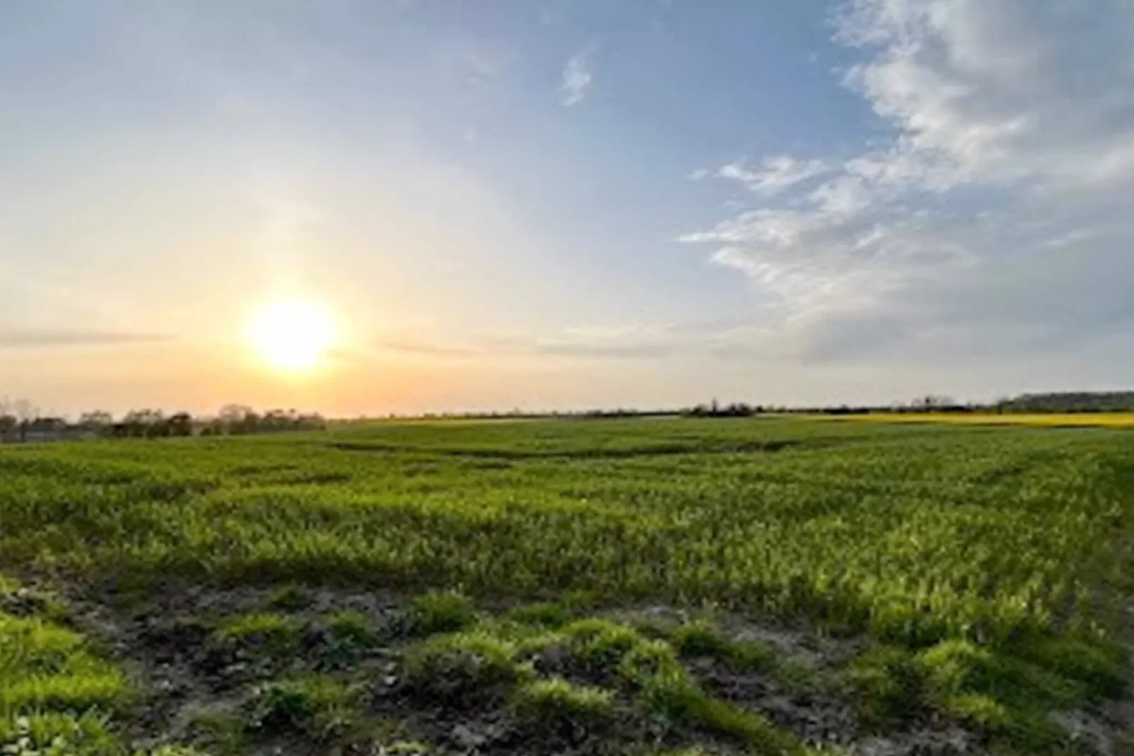 6 persoons vakantie huis in Haderslev