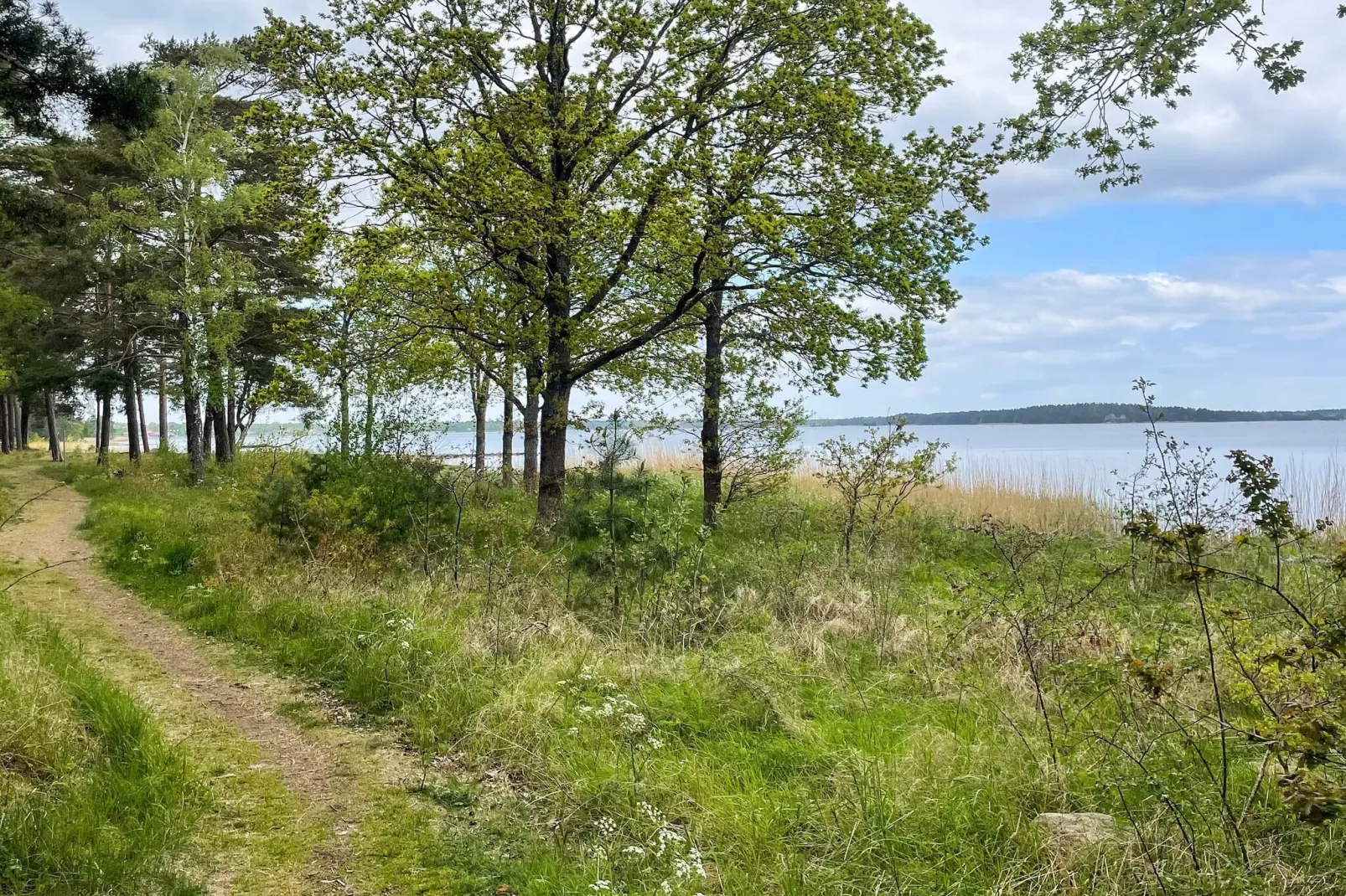 5 persoons vakantie huis in 38472-Niet-getagd