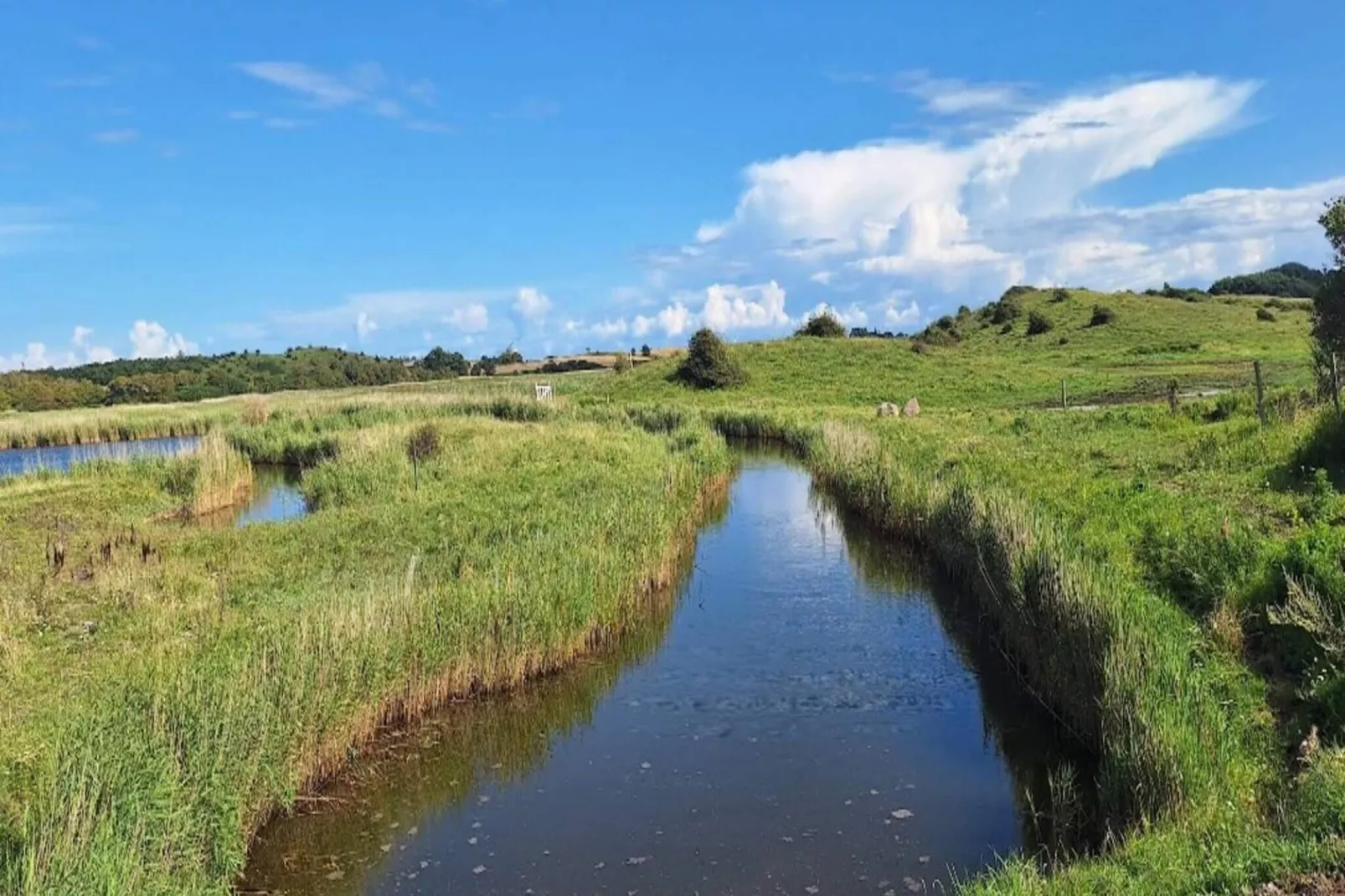 6 persoons vakantie huis in Hals-By Traum-Buitenlucht