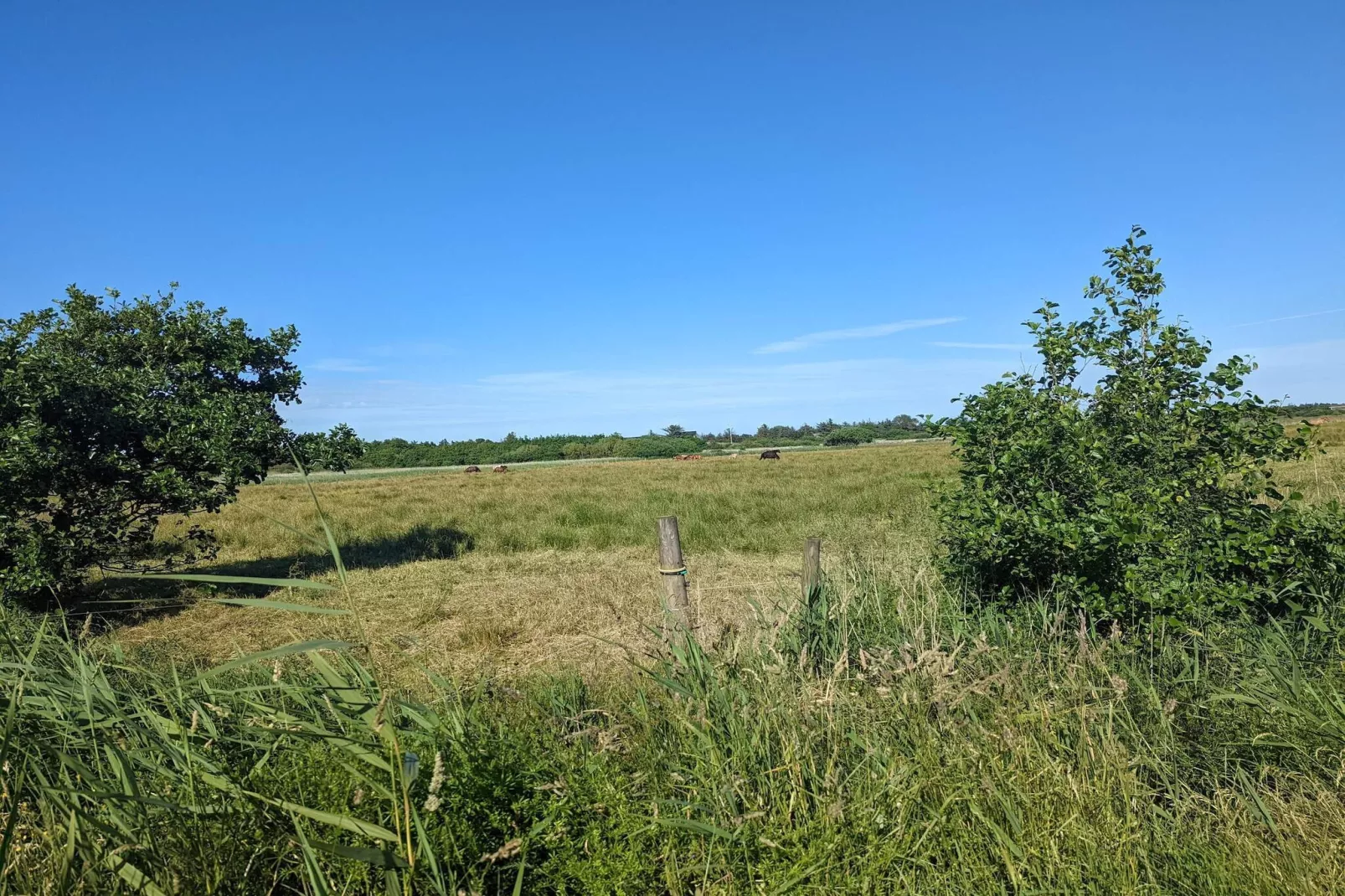 Afgelegen toevluchtsoord in Blavand -- By Traum Ferienwohnungen