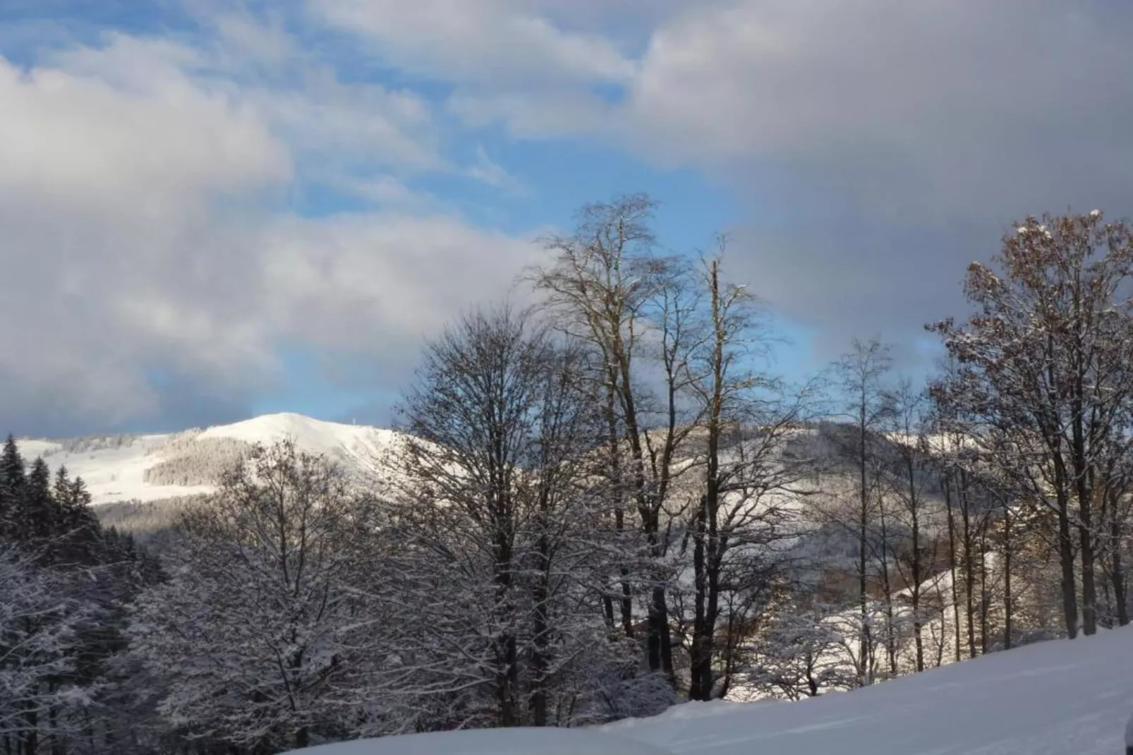 Saalach Appartement 7-Gebied winter 20km