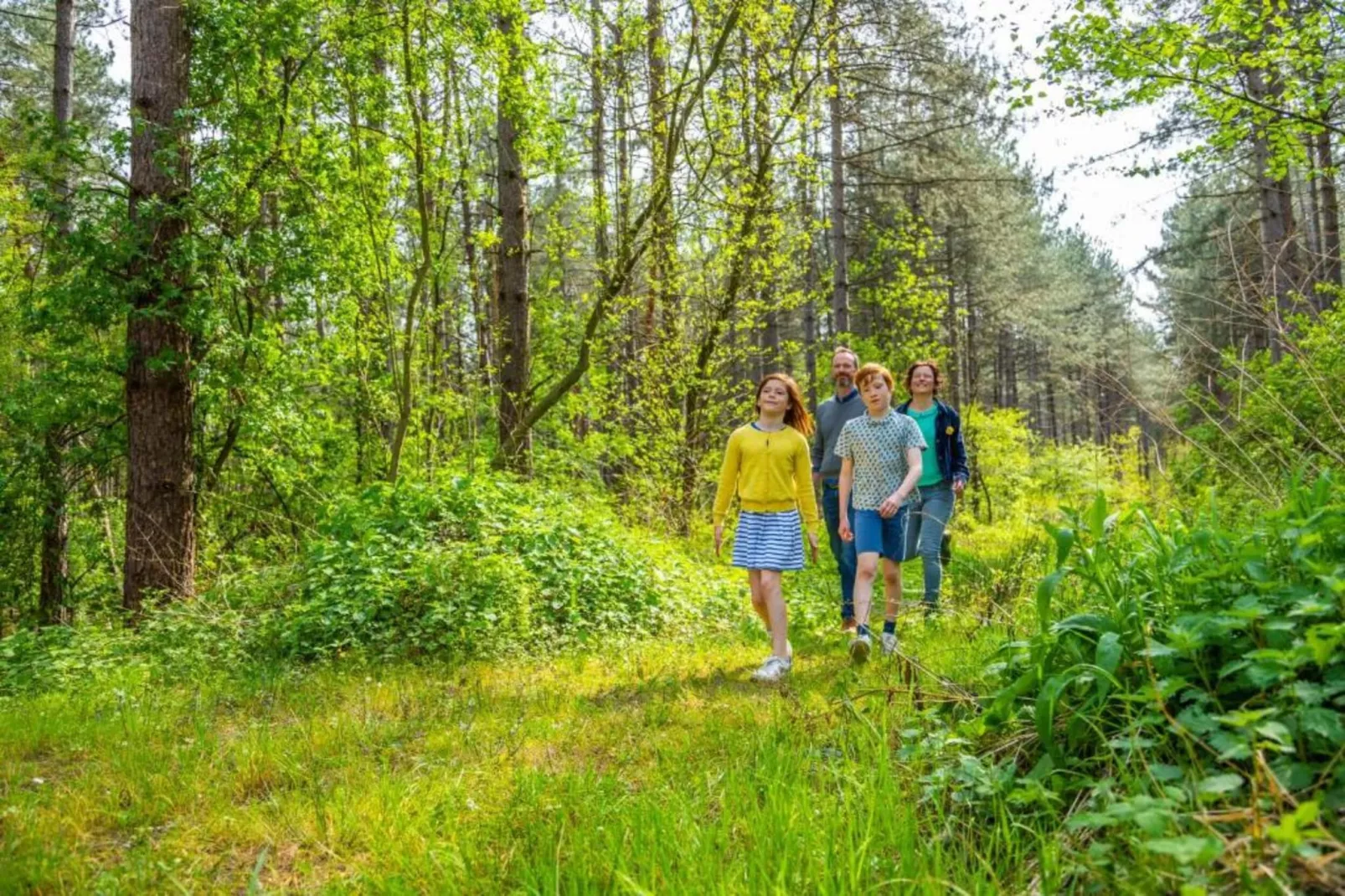 Het Vuchterhof-Gebieden zomer 20km
