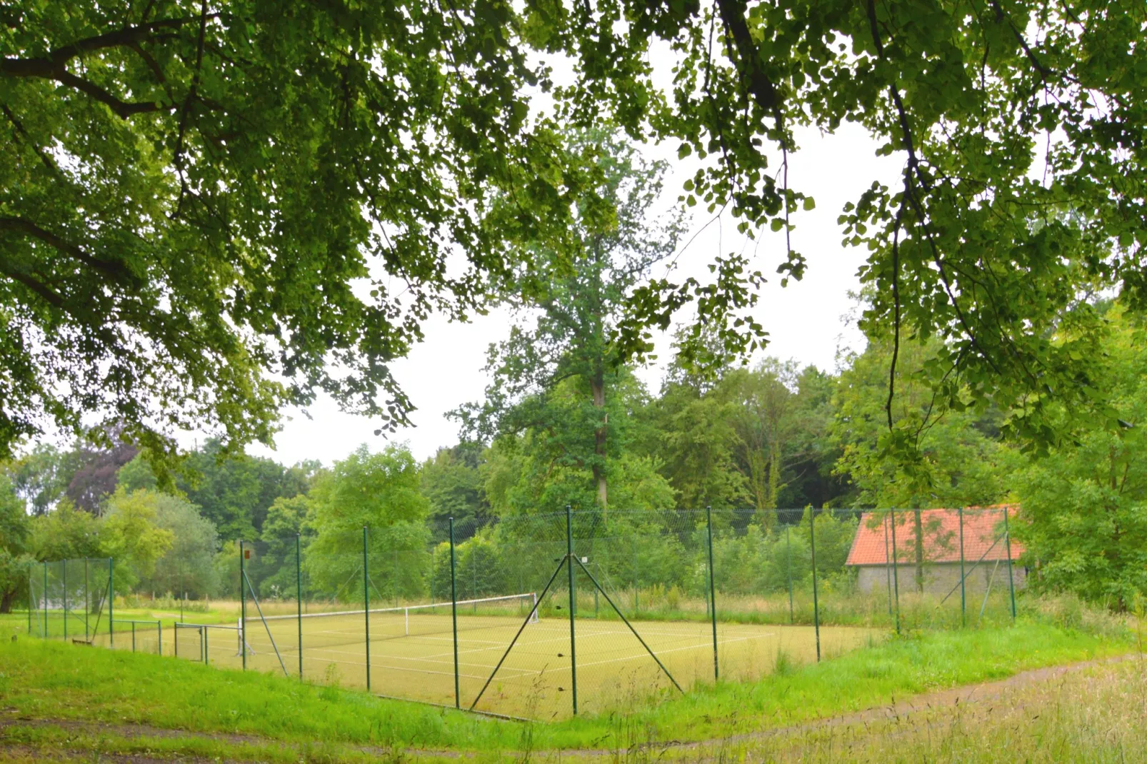 Le Vieux Tilleul du Château-Faciliteiten