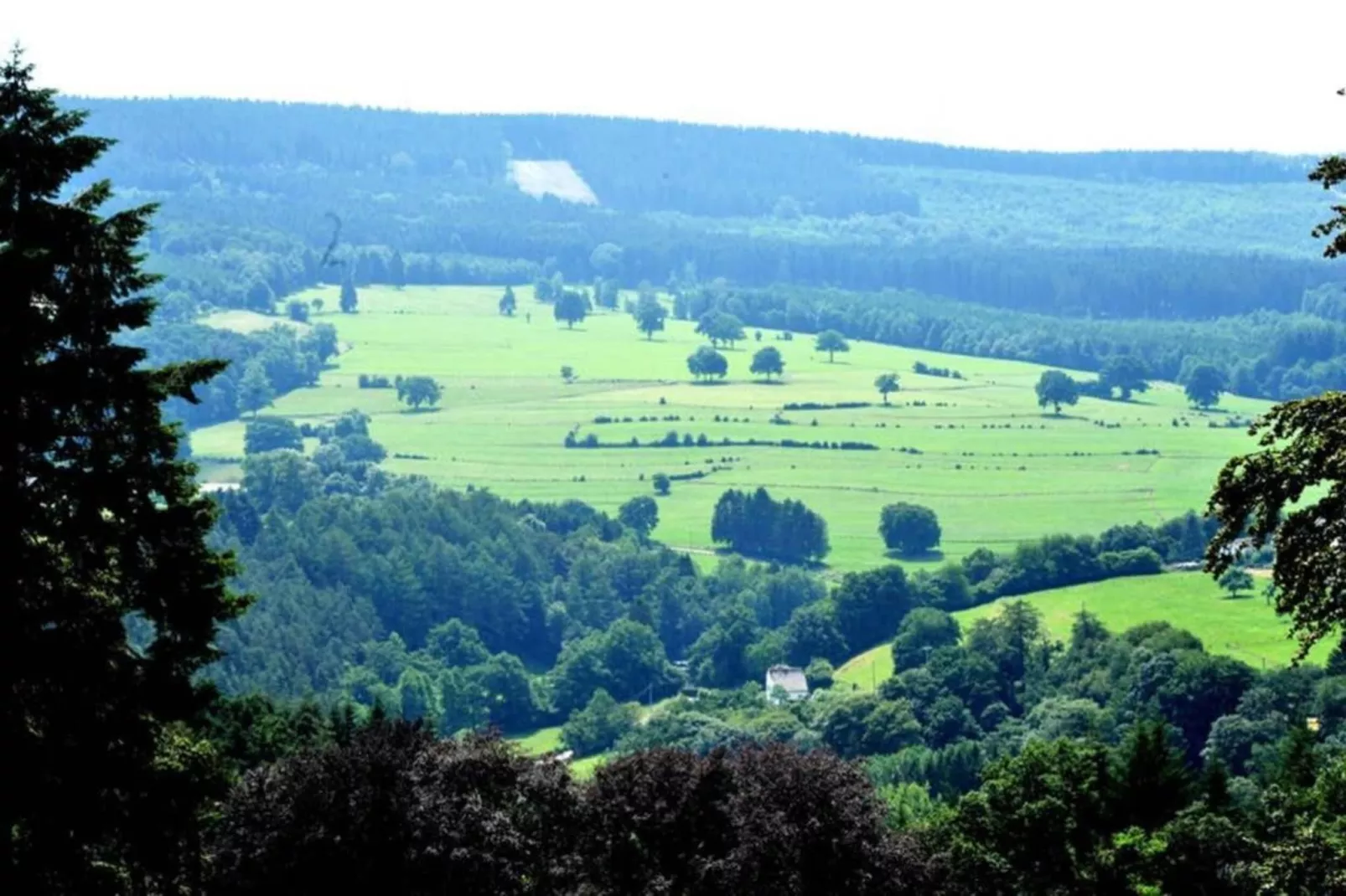 La lavande-Gebieden zomer 20km
